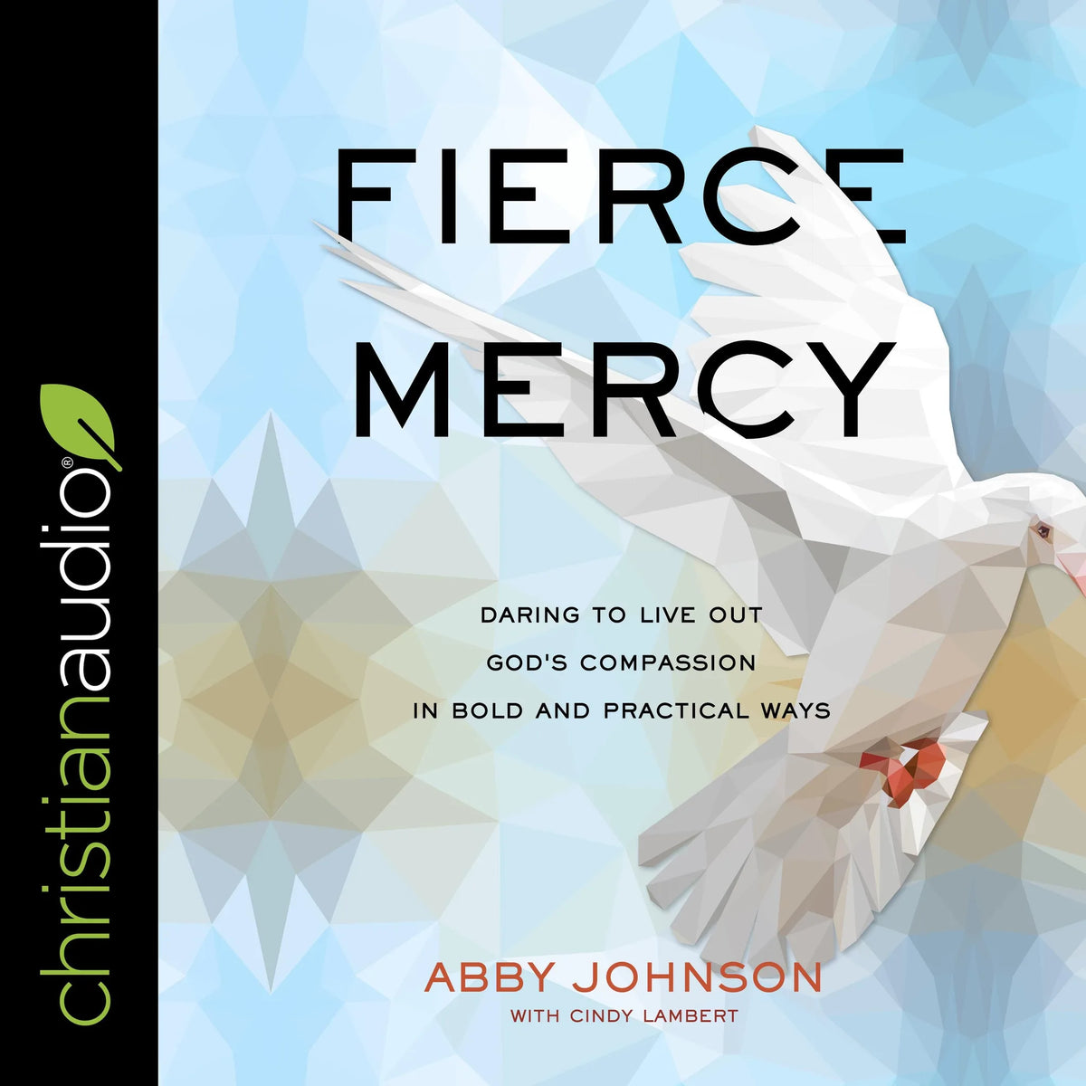 Fierce Mercy