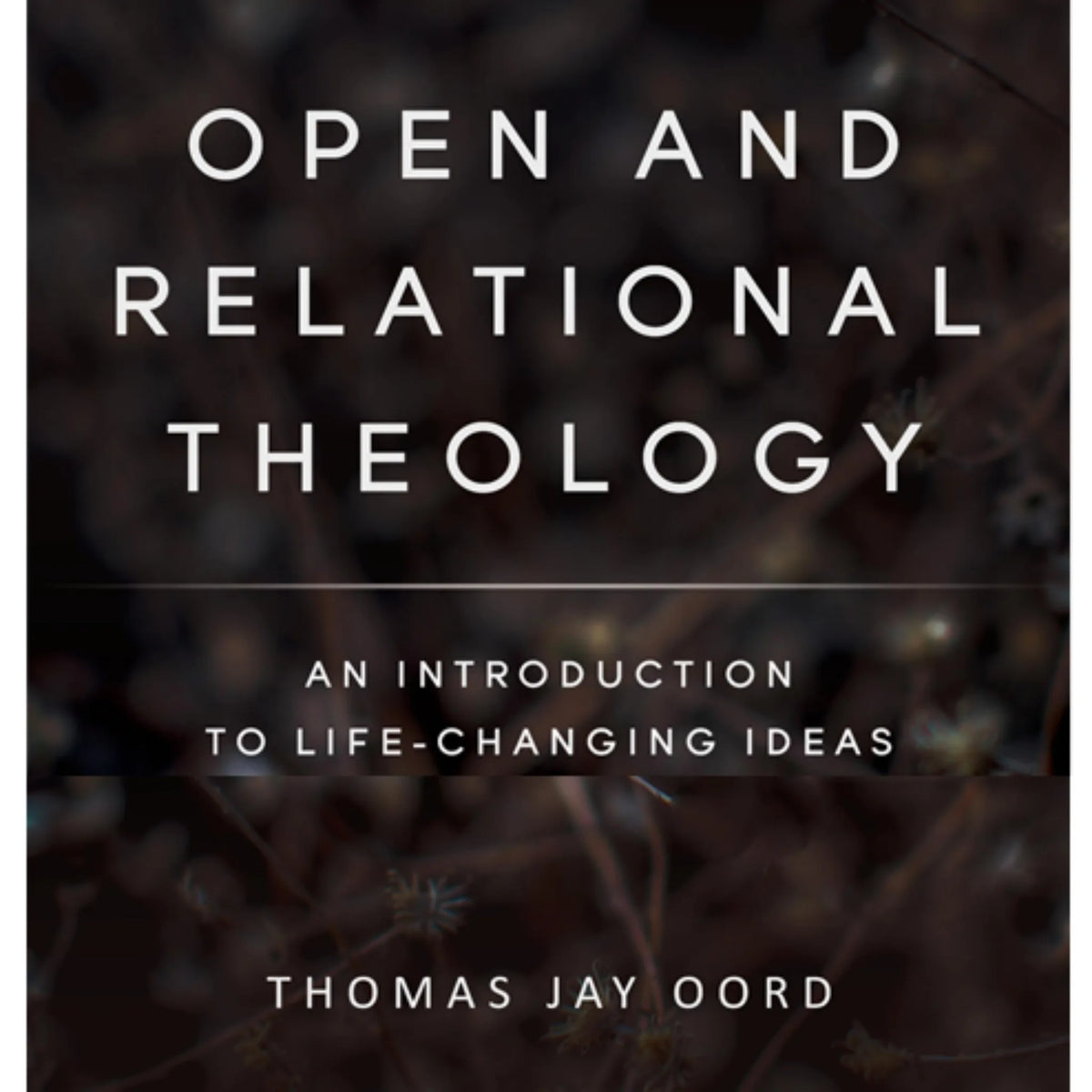 Open and Relational Theology