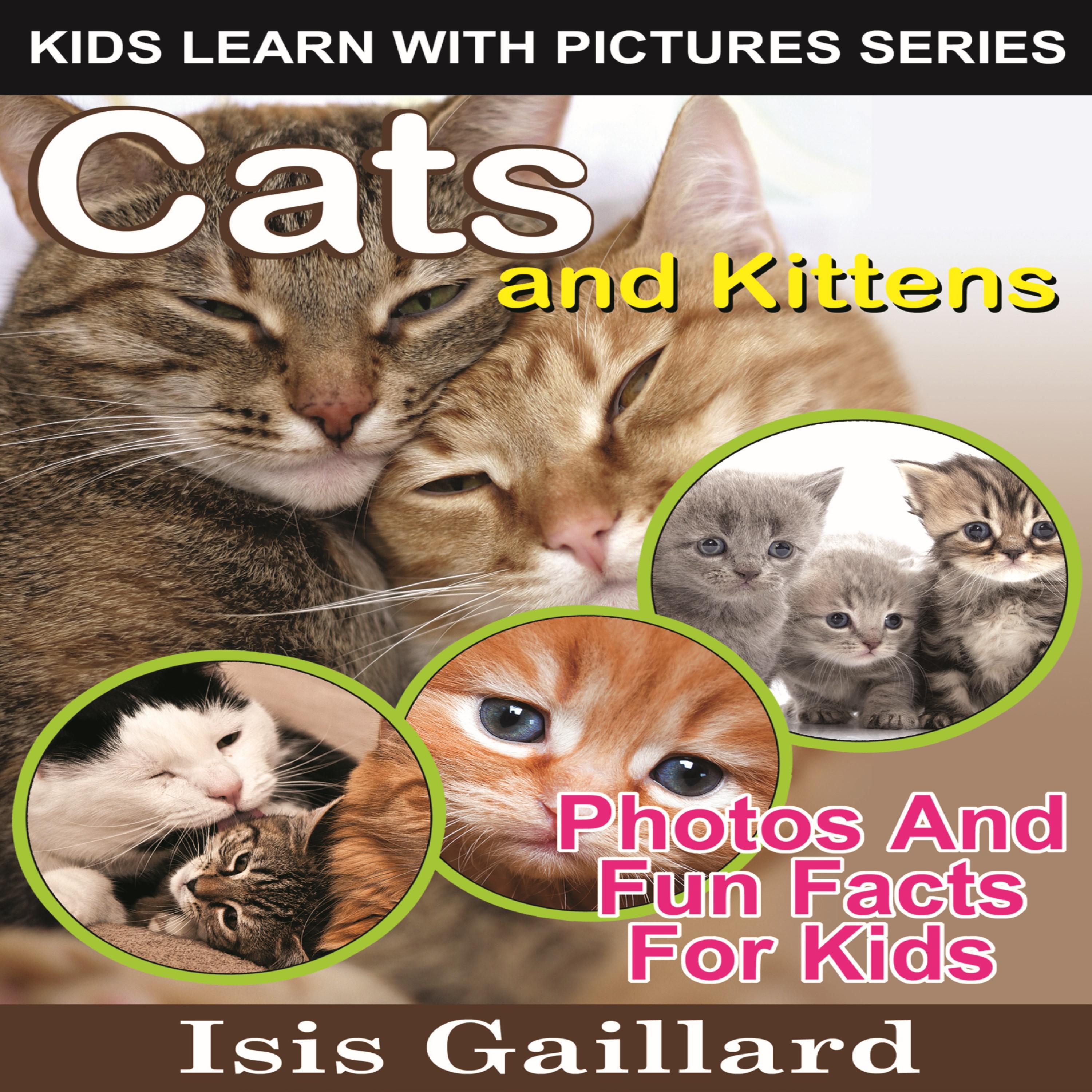 Cats and Kittens