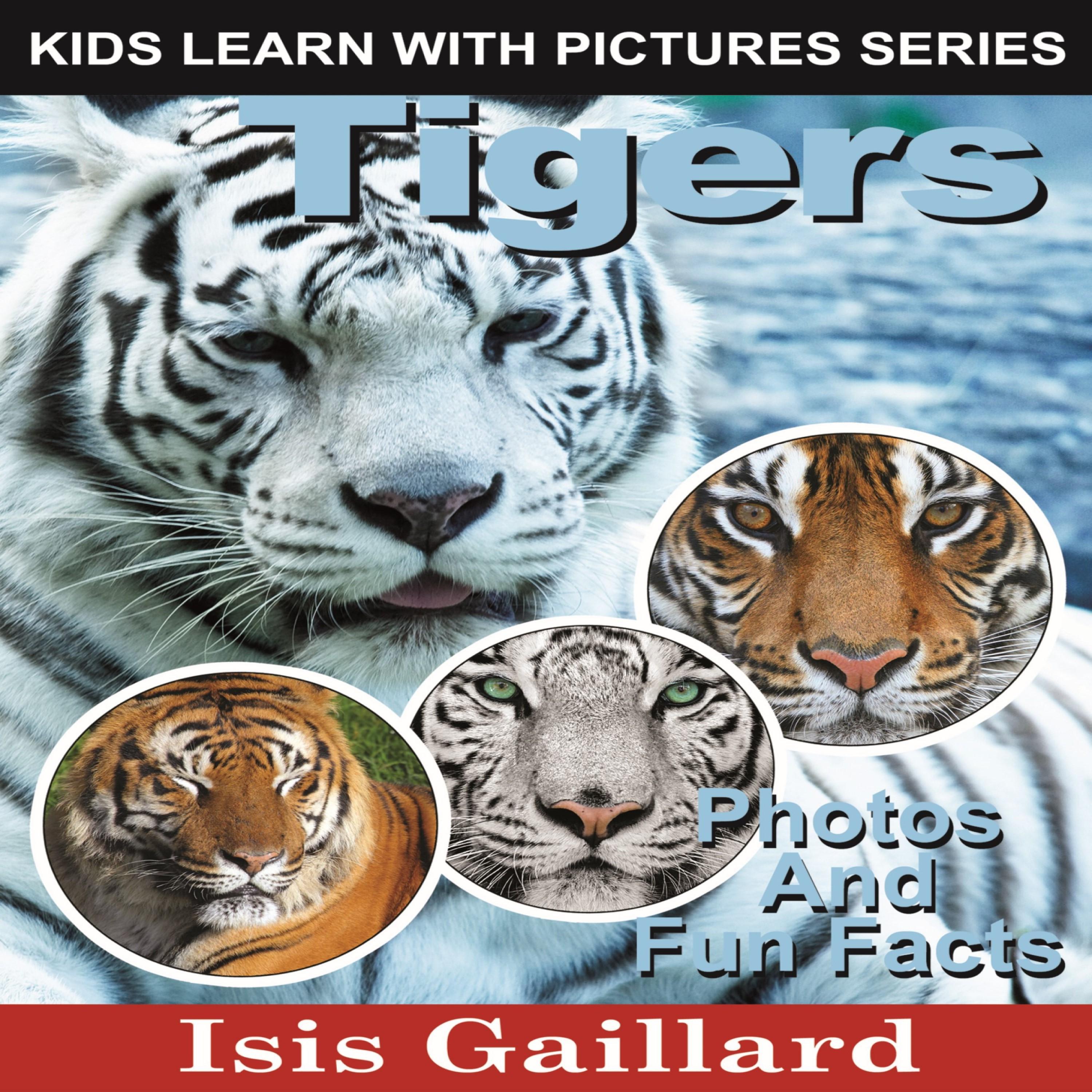 Tigers