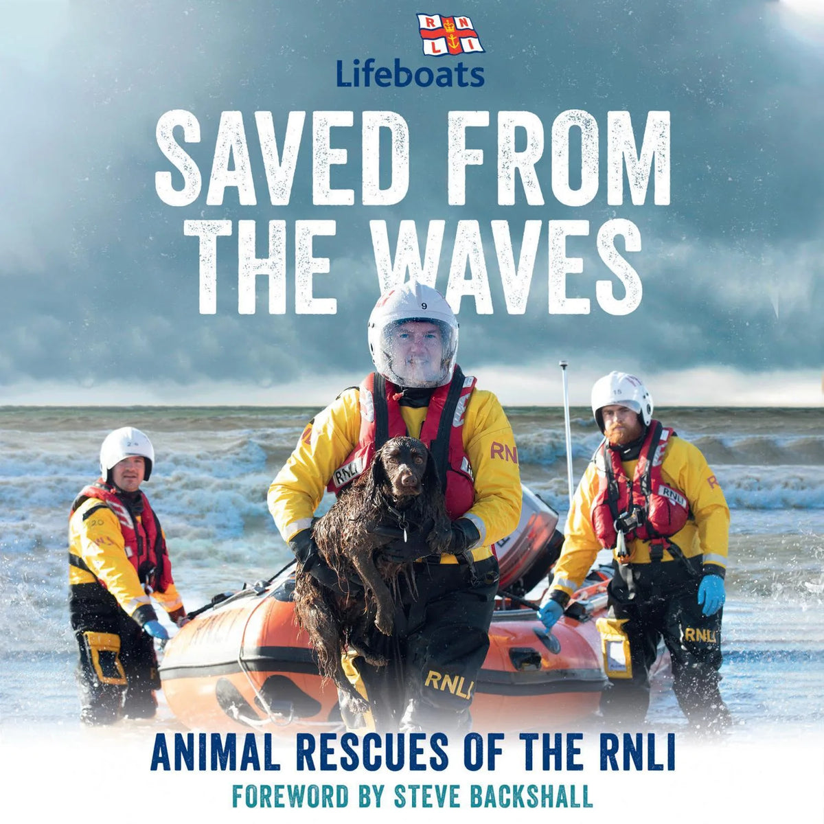 Saved from the Waves