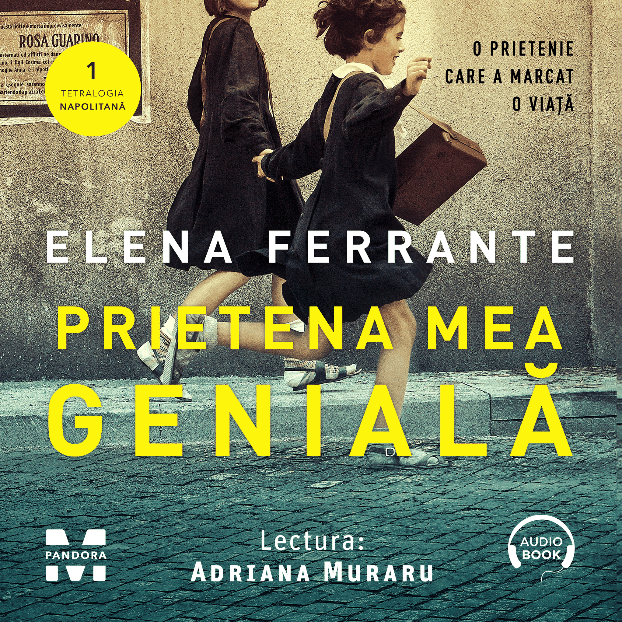 Prietena mea genială