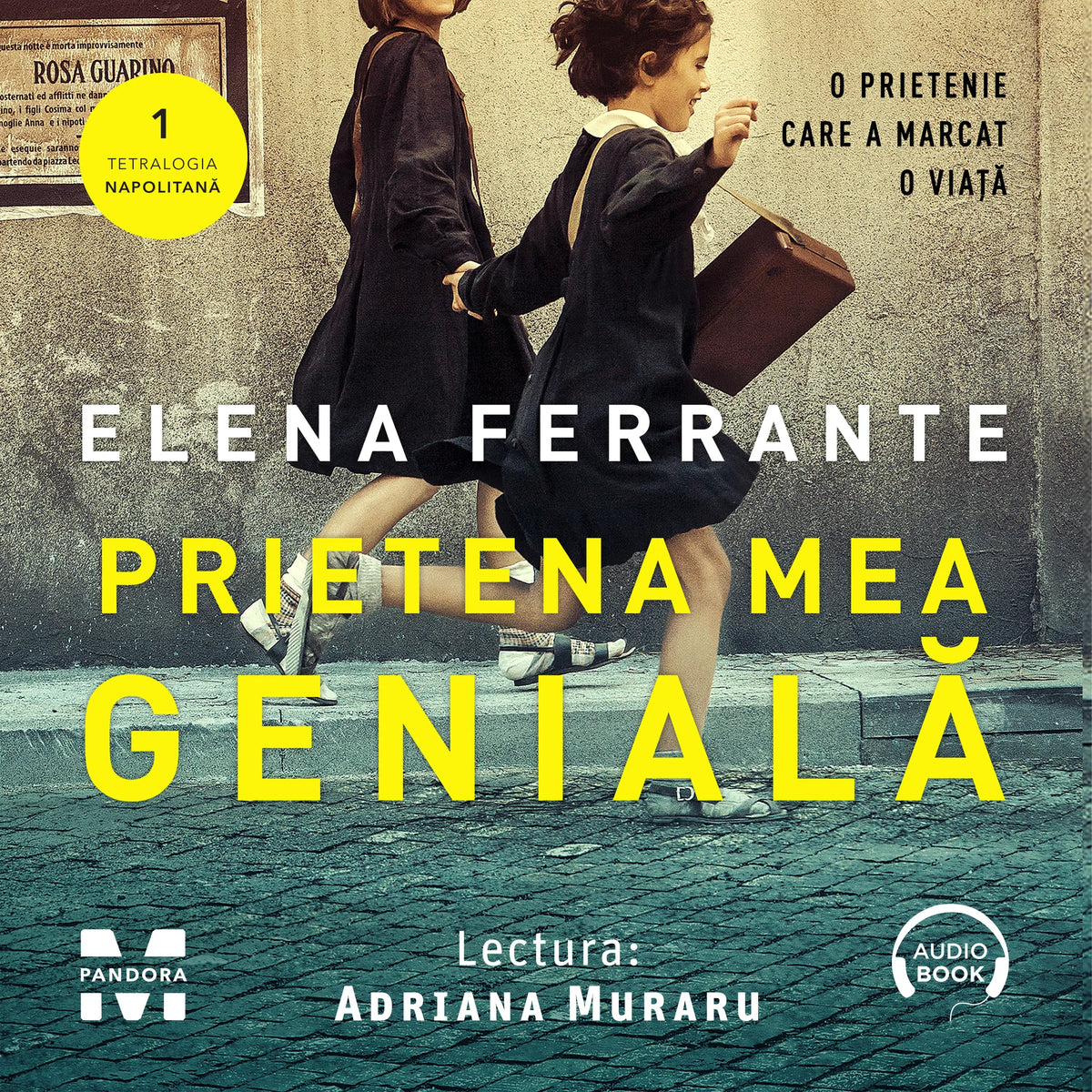 Prietena mea genială