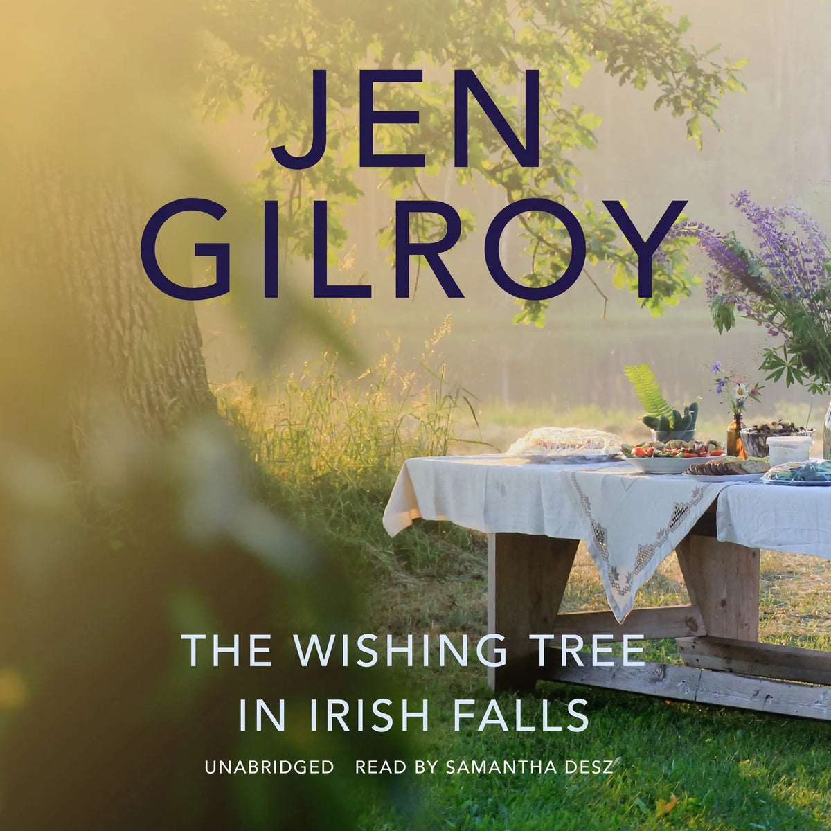 The Wishing Tree in Irish Falls