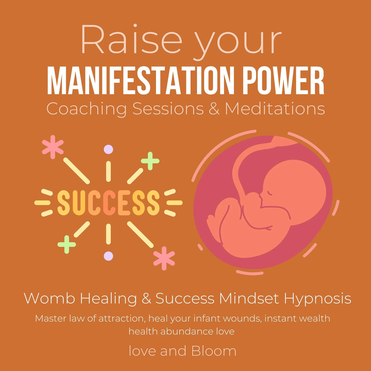 Raise your manifestation power Coaching Sessions & Meditations Womb Healing & Success Mindset Hypnosis