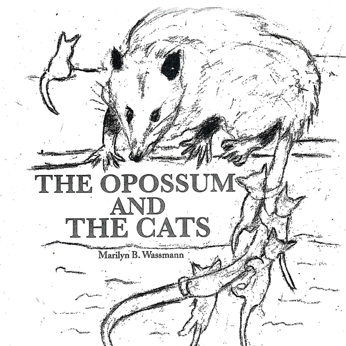 The Opossum and the Cats