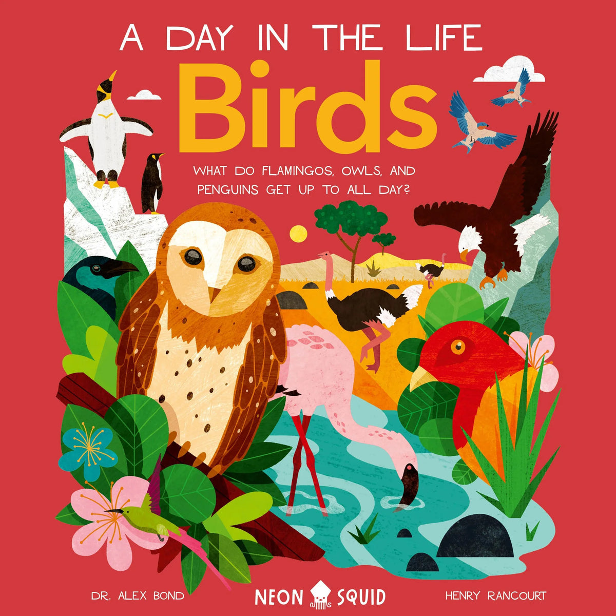 Birds (A Day in the Life)