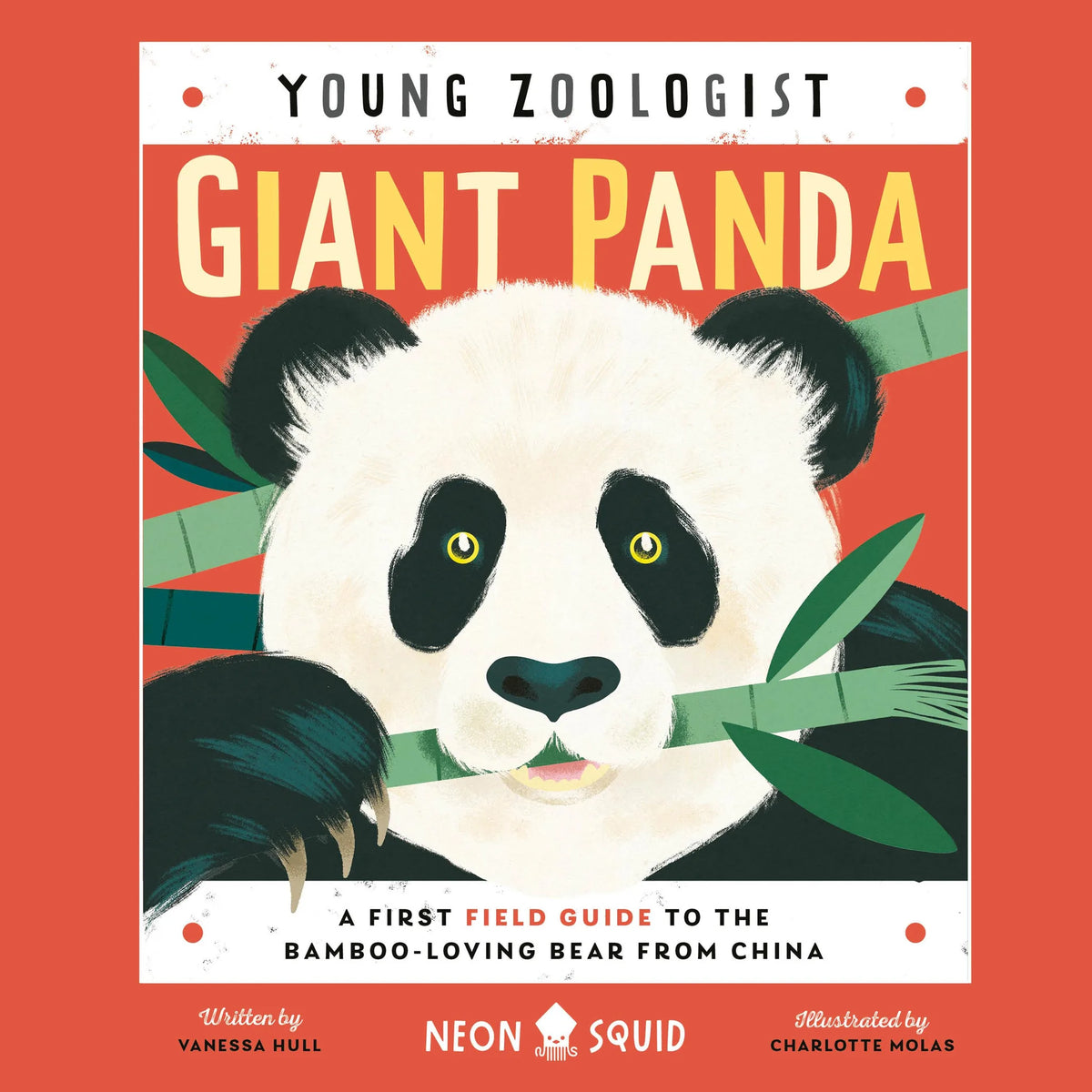 Giant Panda (Young Zoologist)