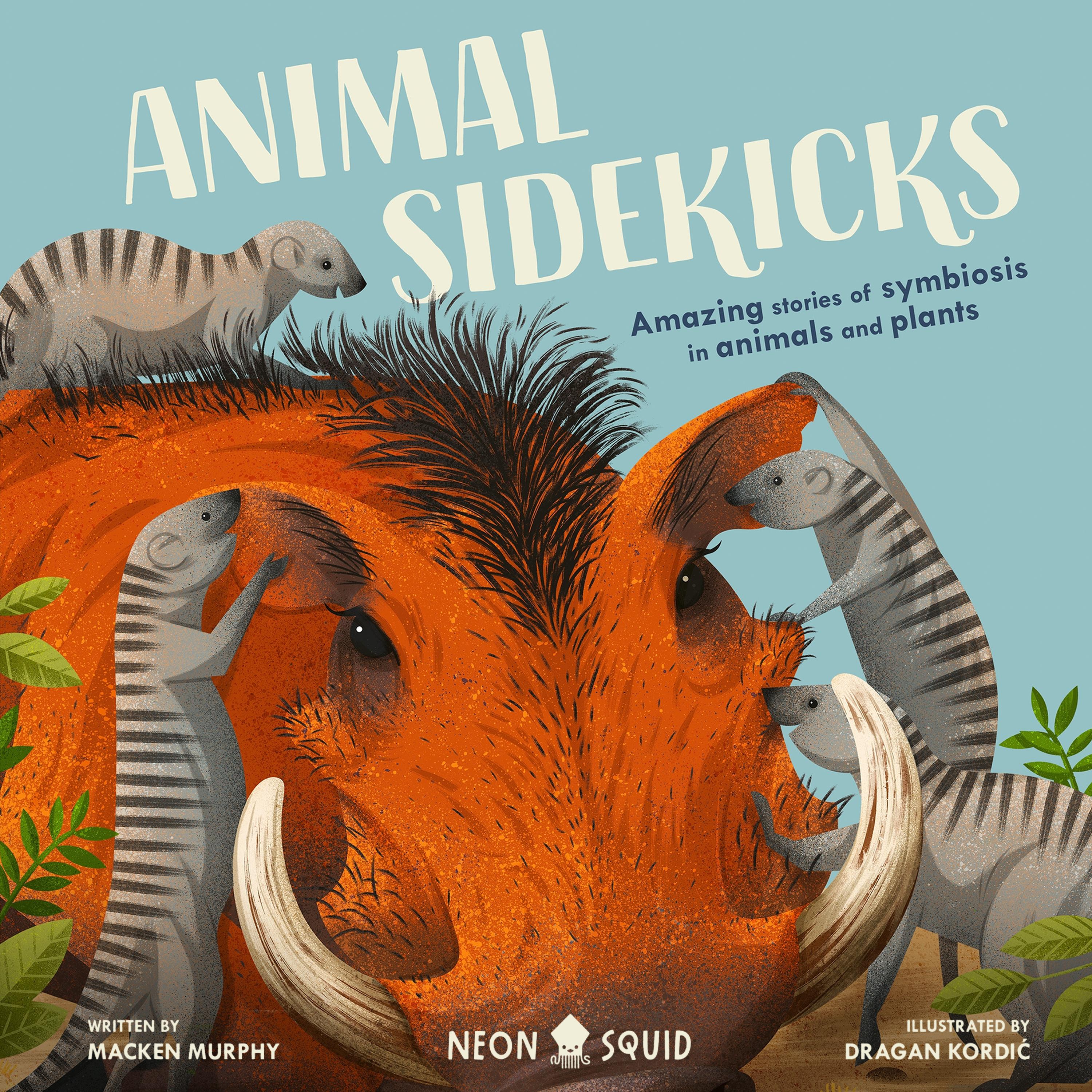 Animal Sidekicks