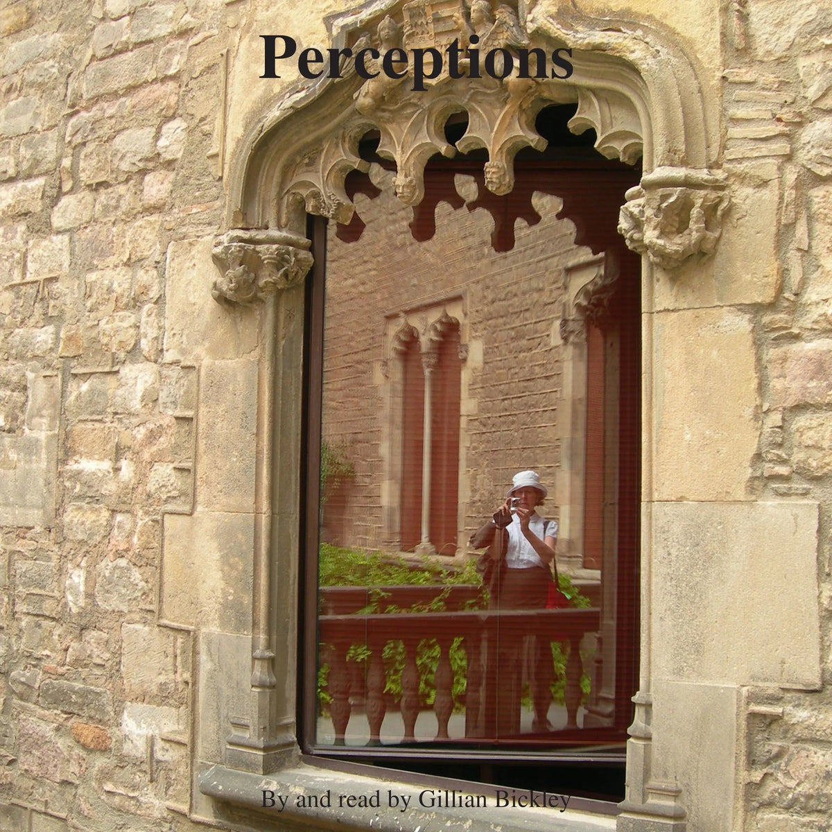 Perceptions