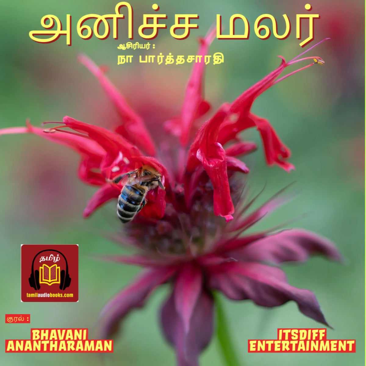 Anicha Malar - அனிச்ச மலர்