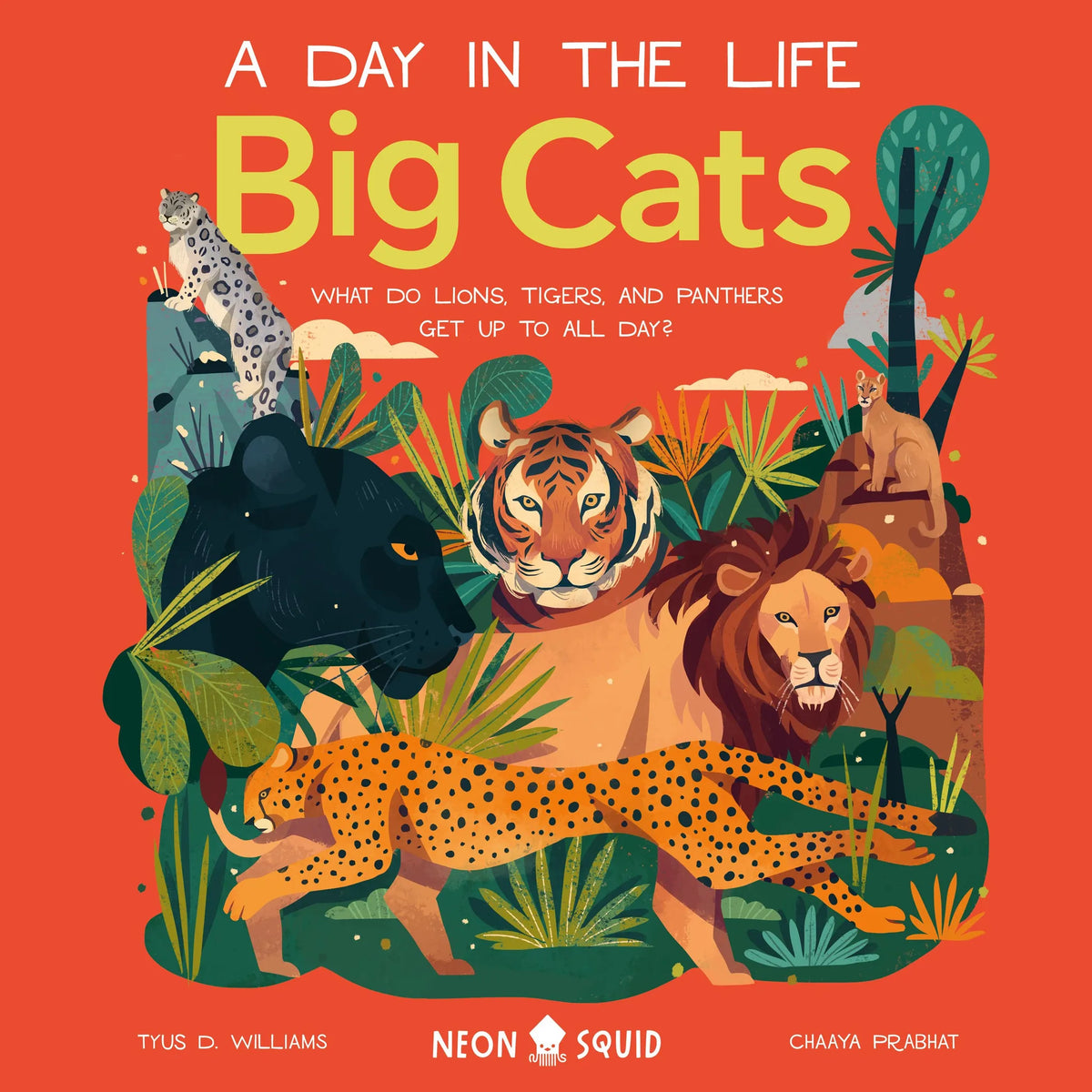 Big Cats (A Day in the Life)
