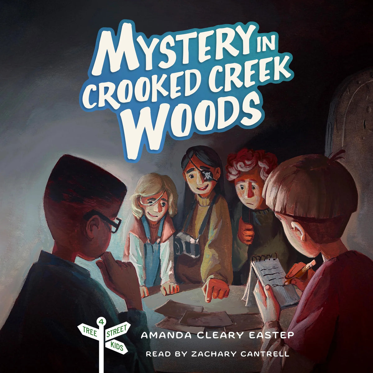Mystery in Crooked Creek Woods