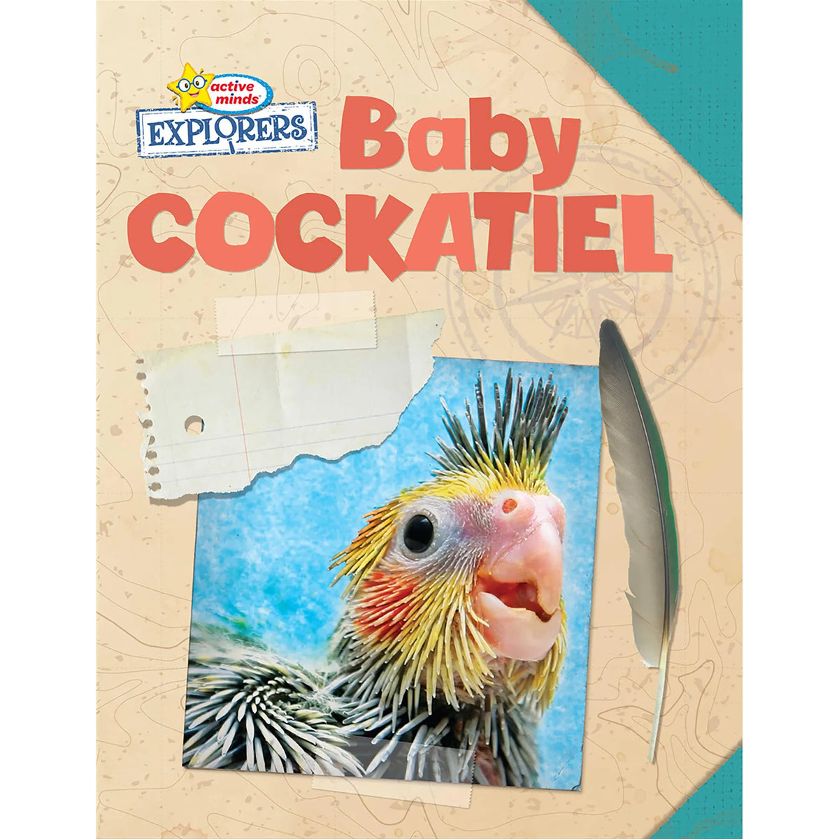 Active Minds Explorers: Baby Cockatiel