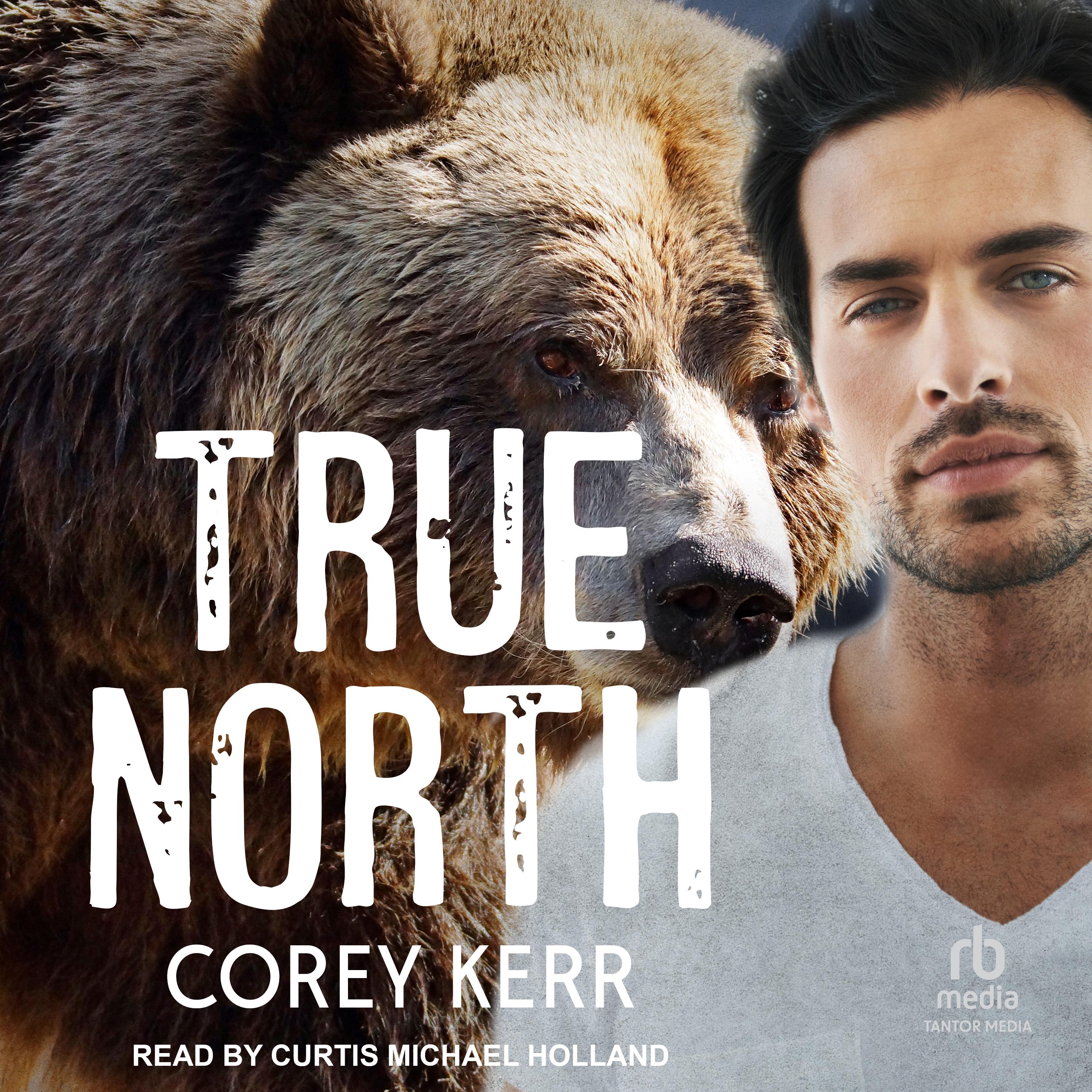 True North