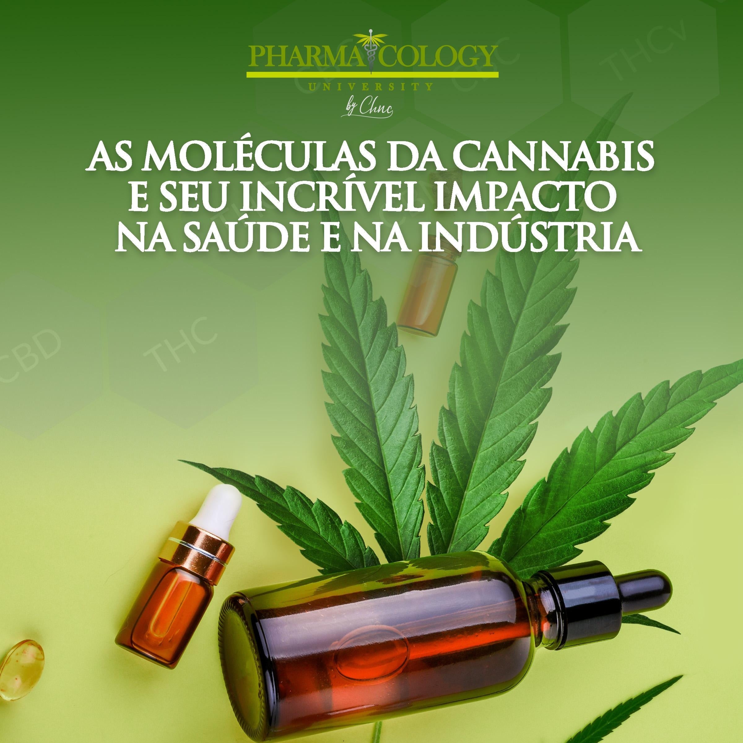 As moléculas da cannabis e seu incrível impacto na saúde e na indústria