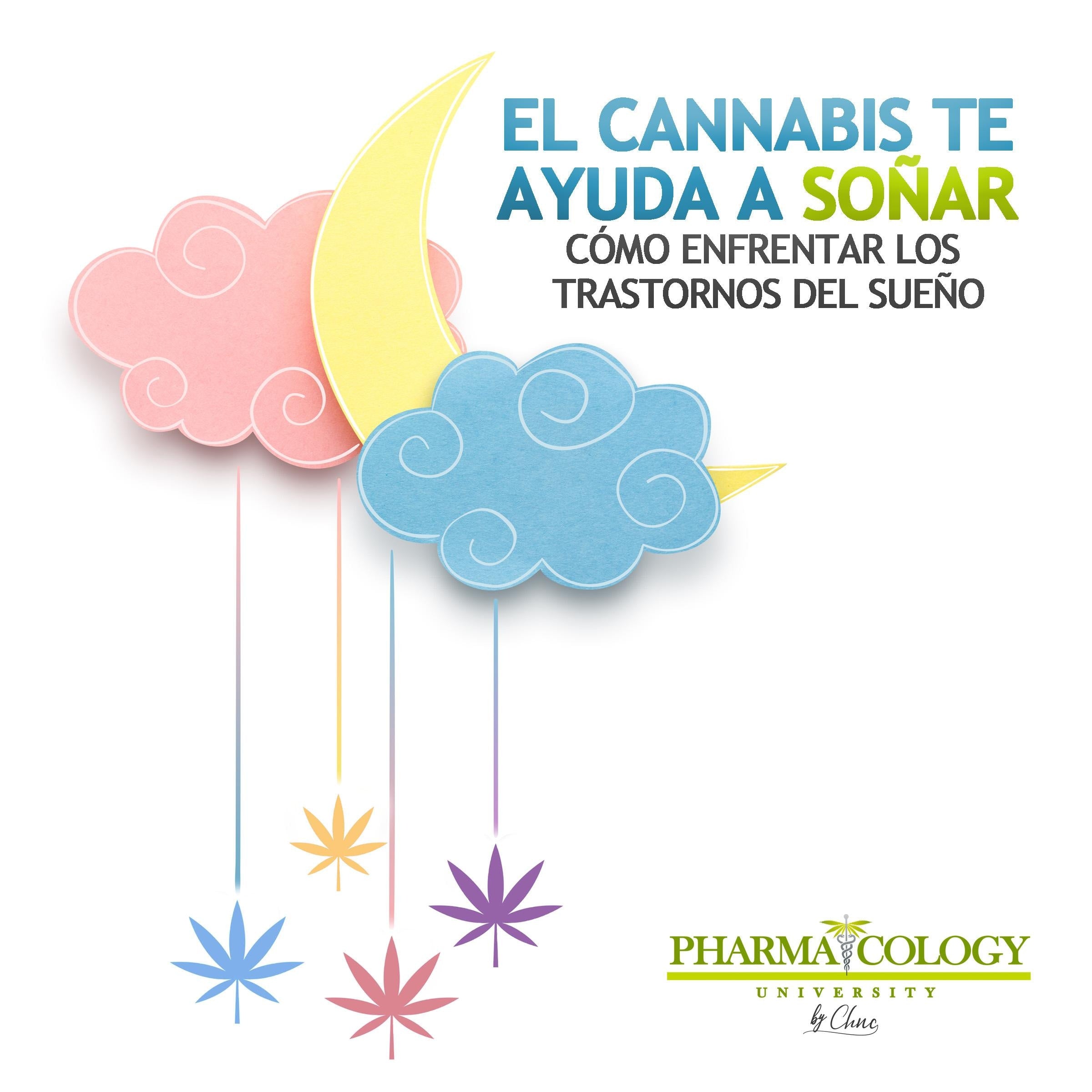 El cannabis te ayuda a soñar: cómo enfrentar los trastornos del sueño