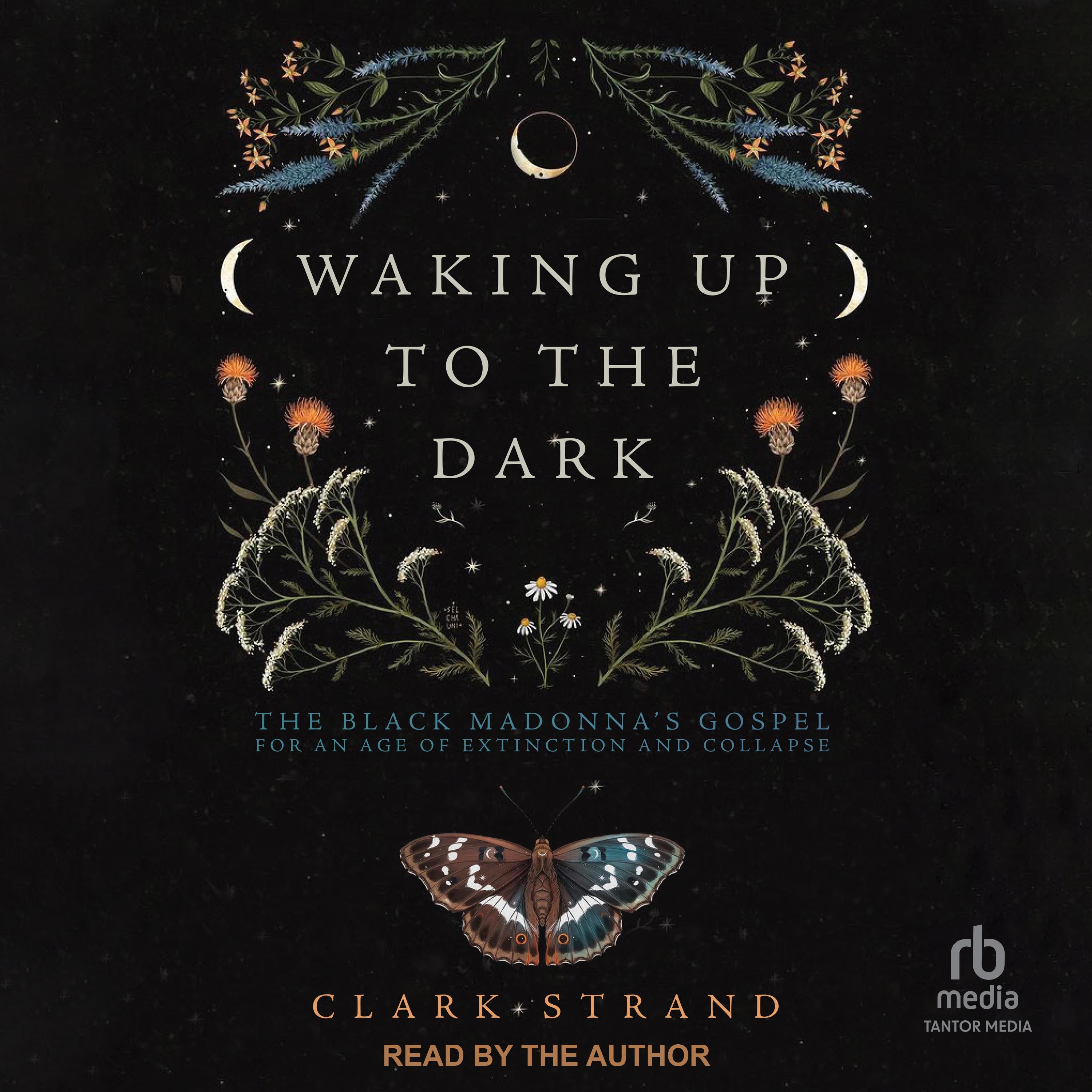 Waking Up to the Dark