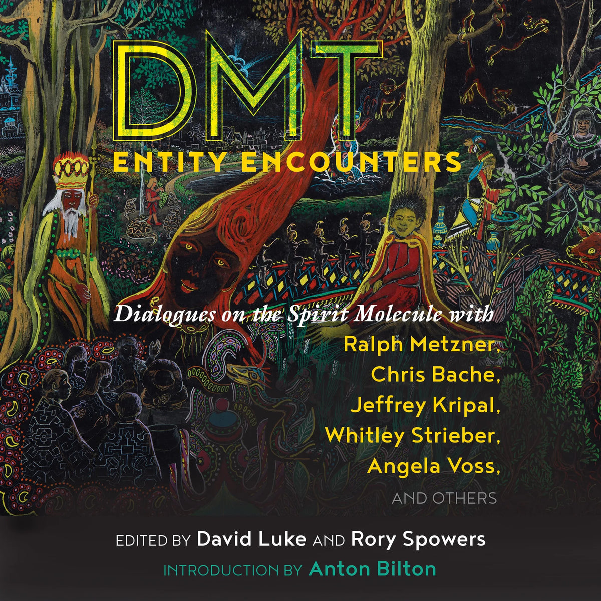 DMT Entity Encounters