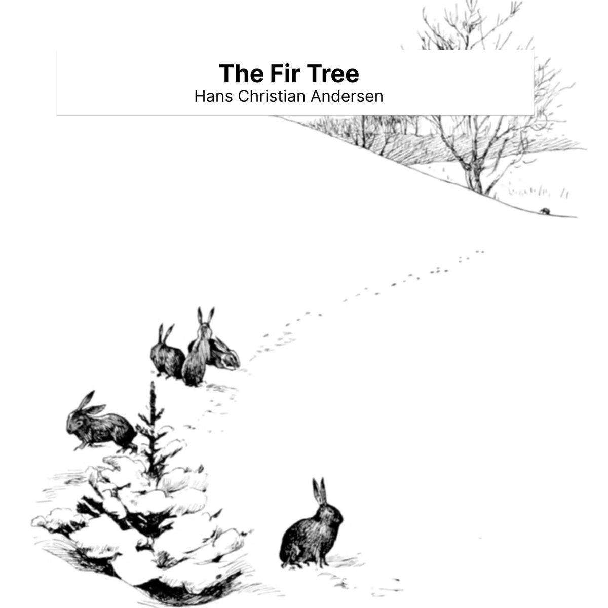 The Fir Tree