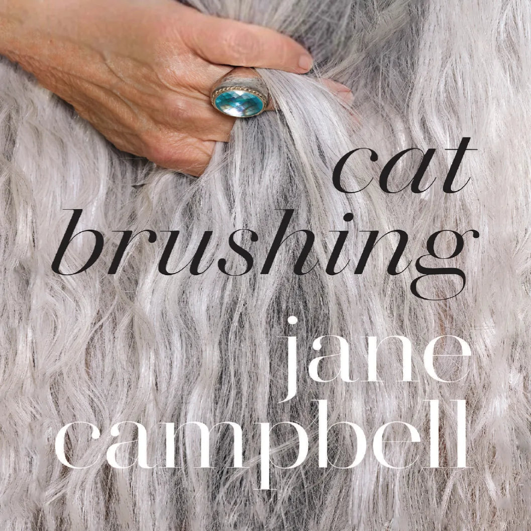 Cat Brushing