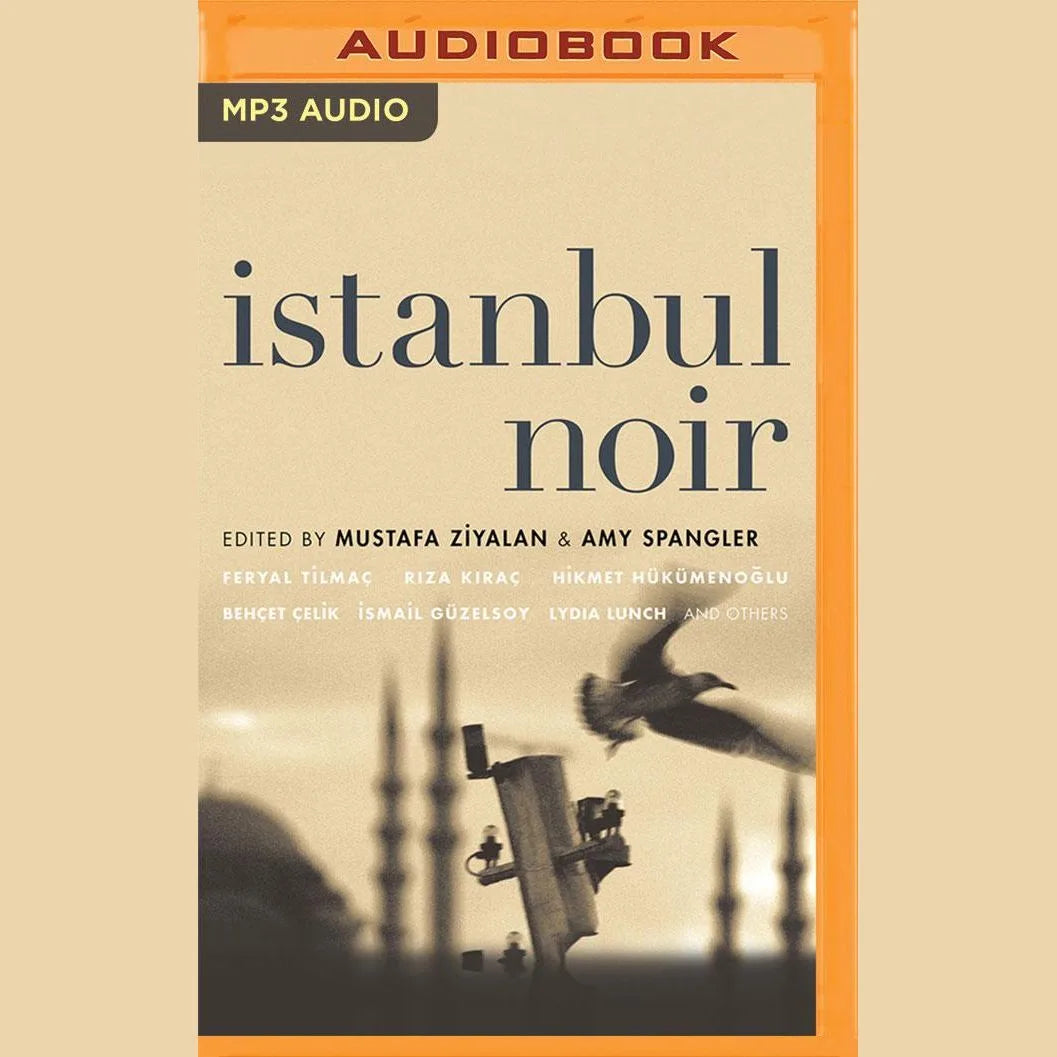 Istanbul Noir