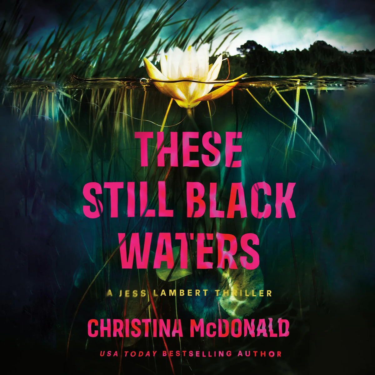 These Still Black Waters