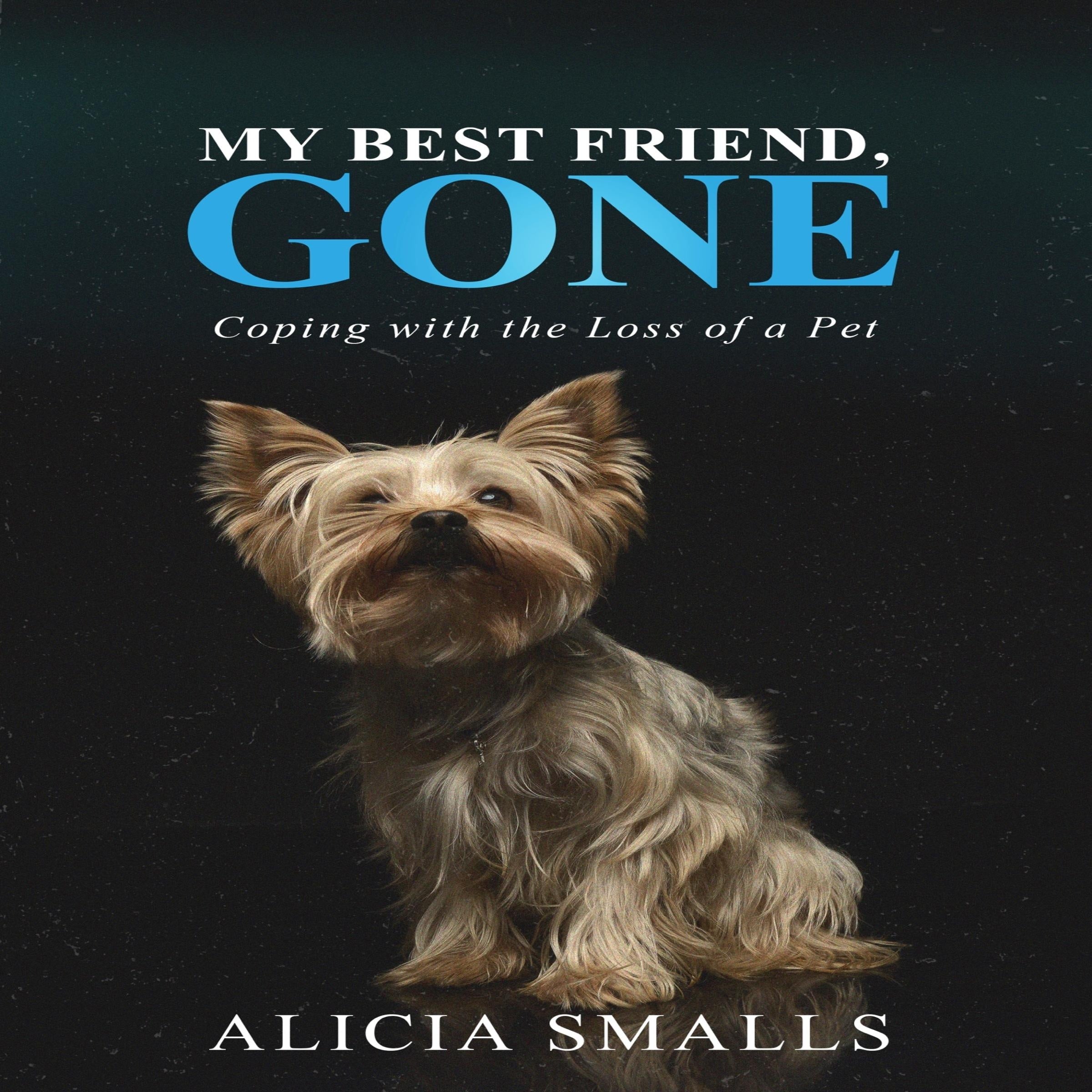 My Best Friend, Gone