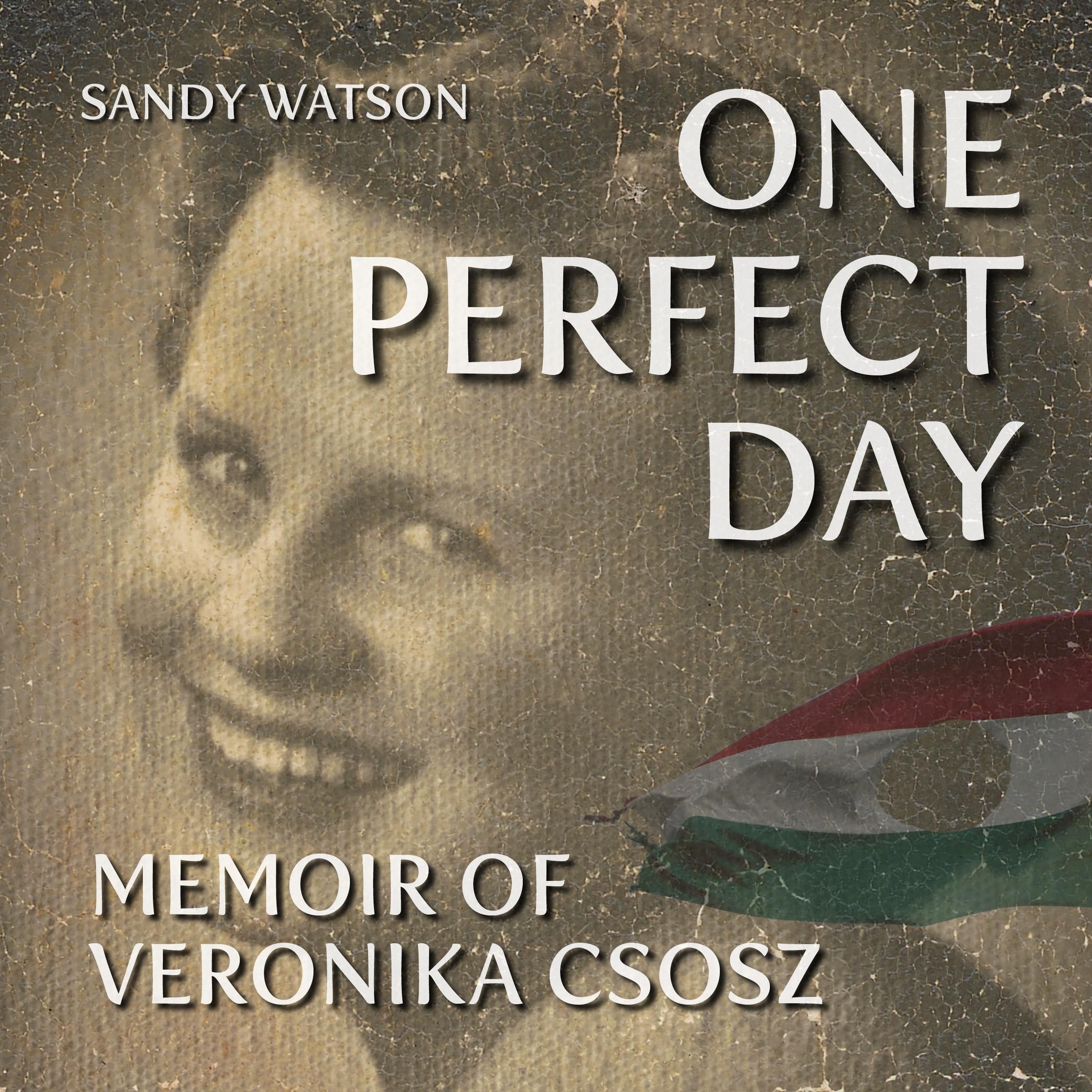 One Perfect Day