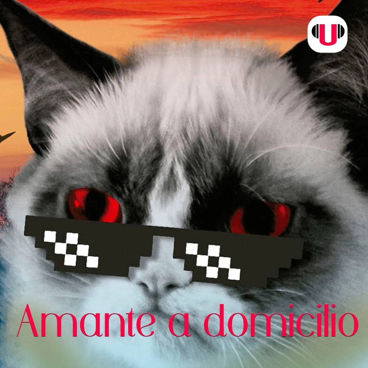 U_CAT: AMANTE A DOMICILIO