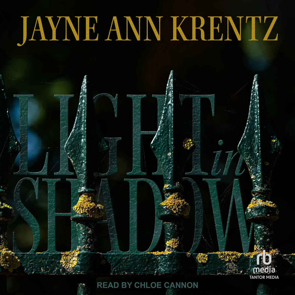 Light in Shadow