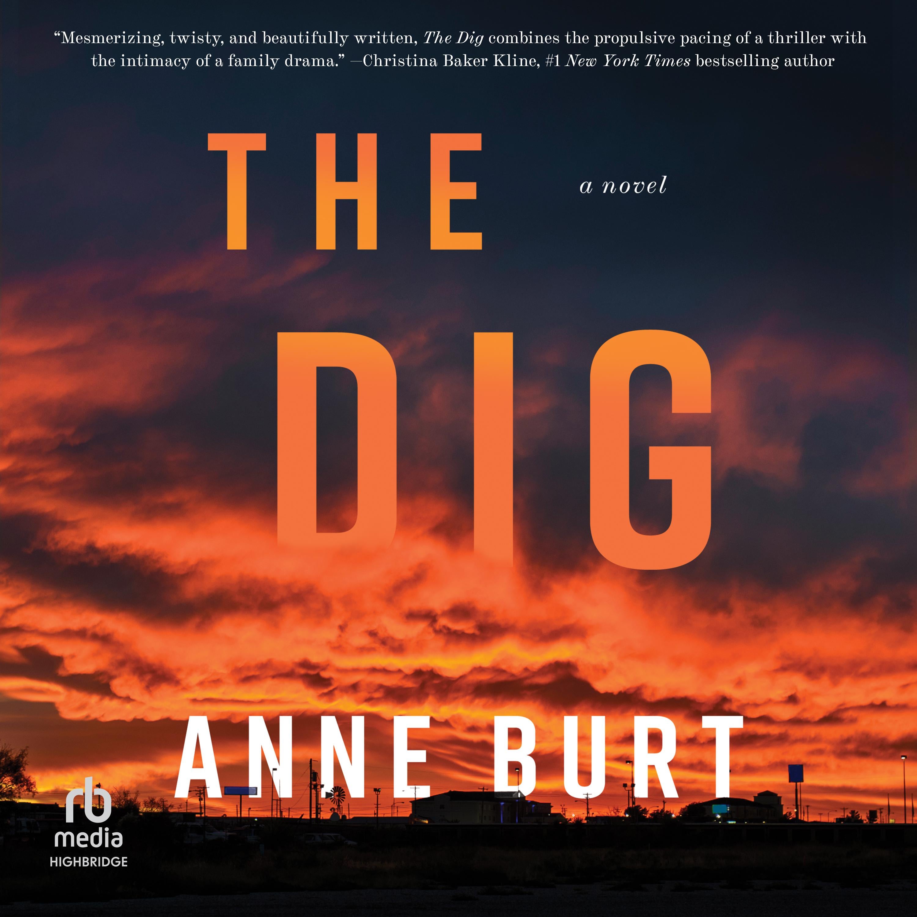 The Dig