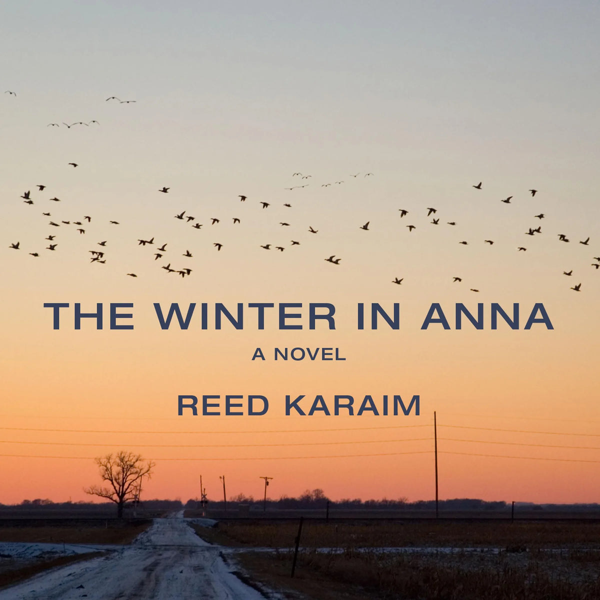 The Winter in Anna