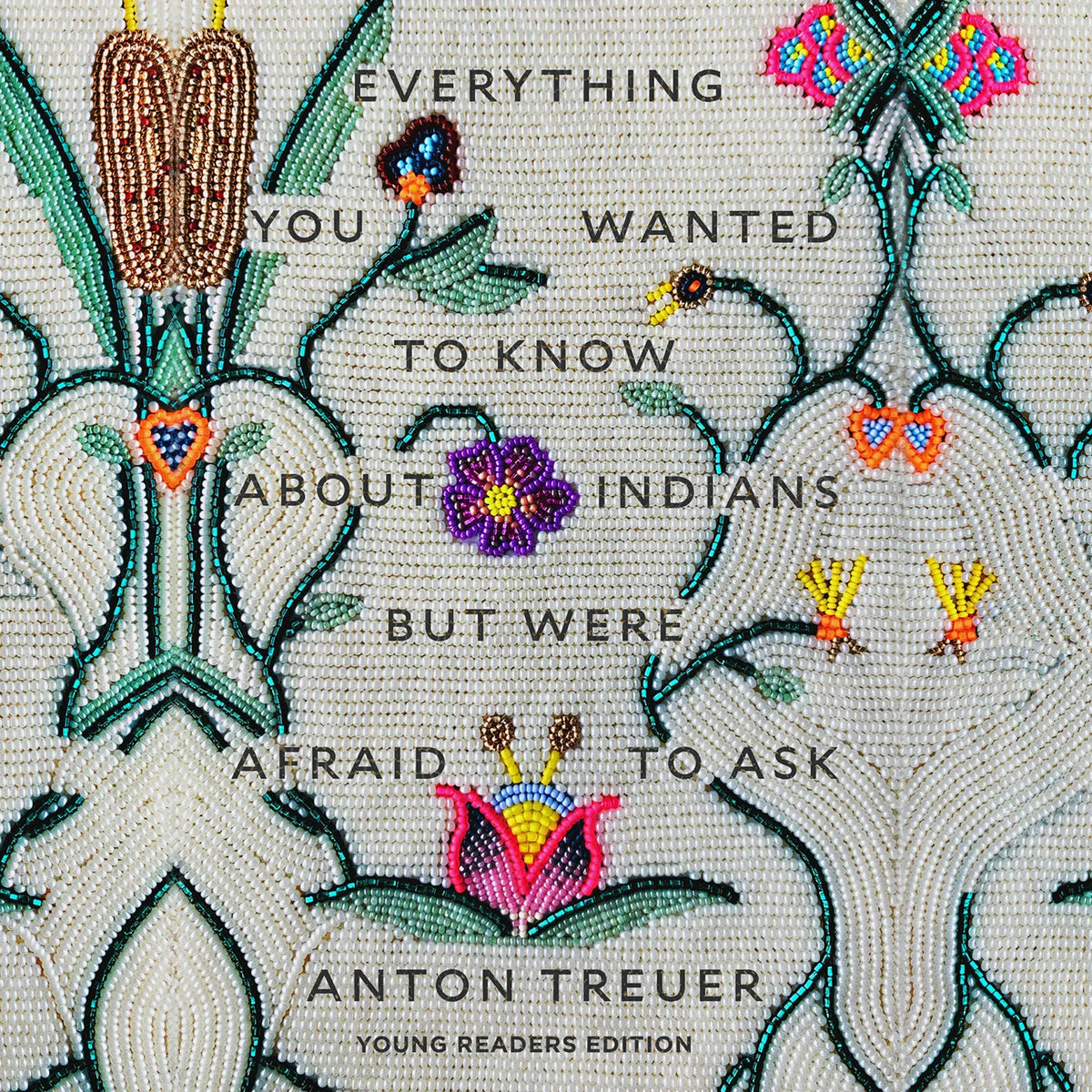 Everything You Wanted to Know About Indians but Were Afraid to Ask