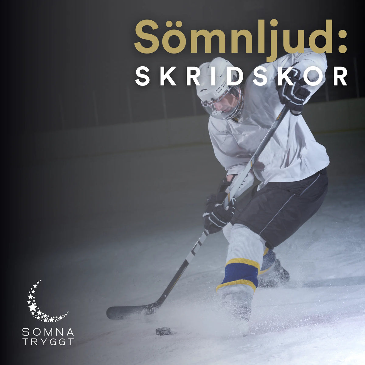 Sömnljud: Skridskor