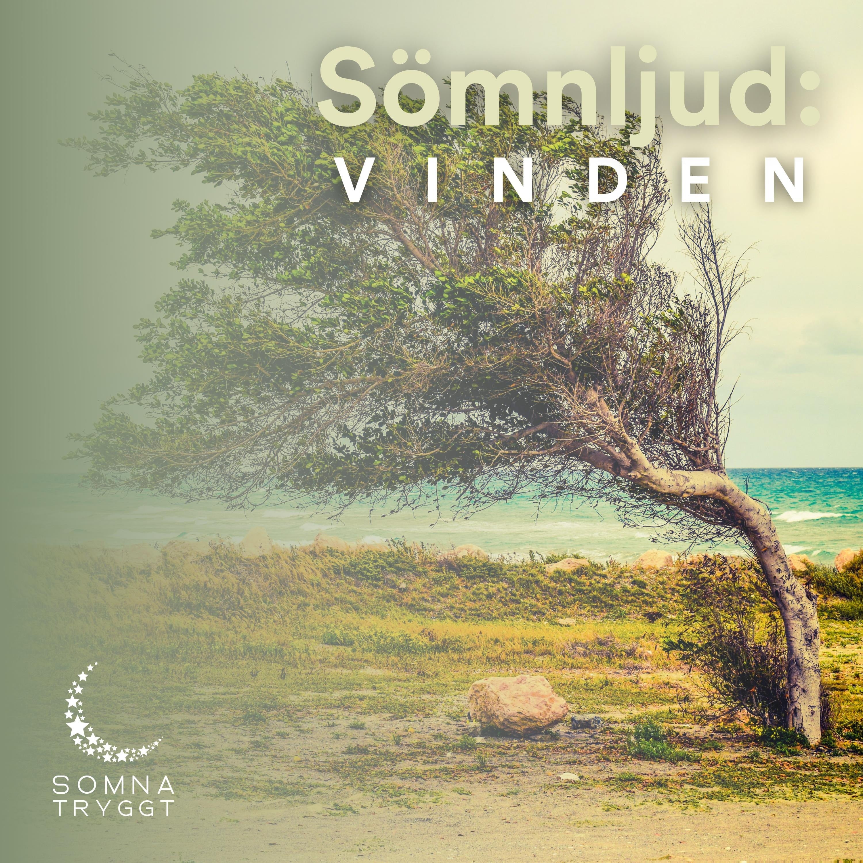 Sömnljud: