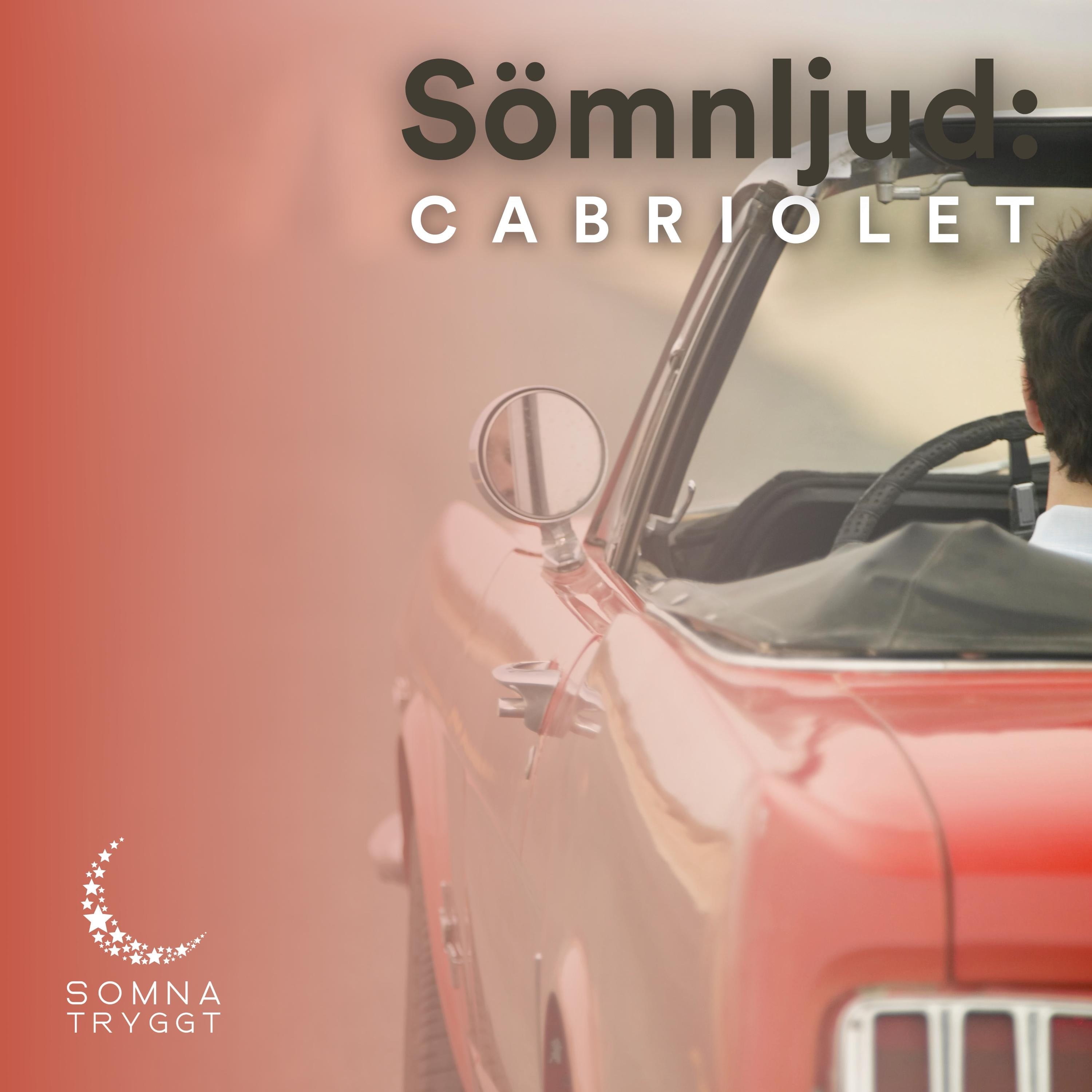Sömnljud: