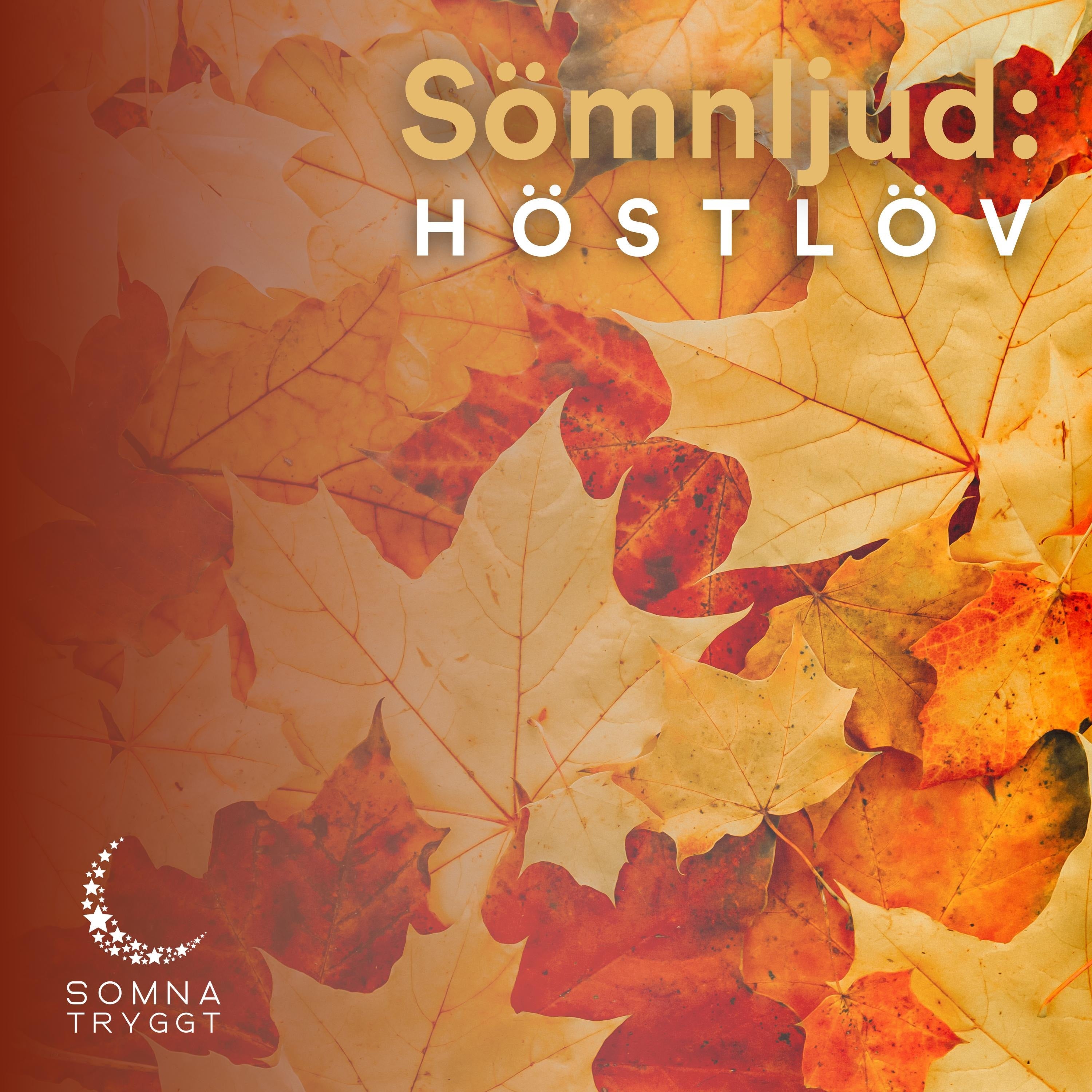 Sömnljud: