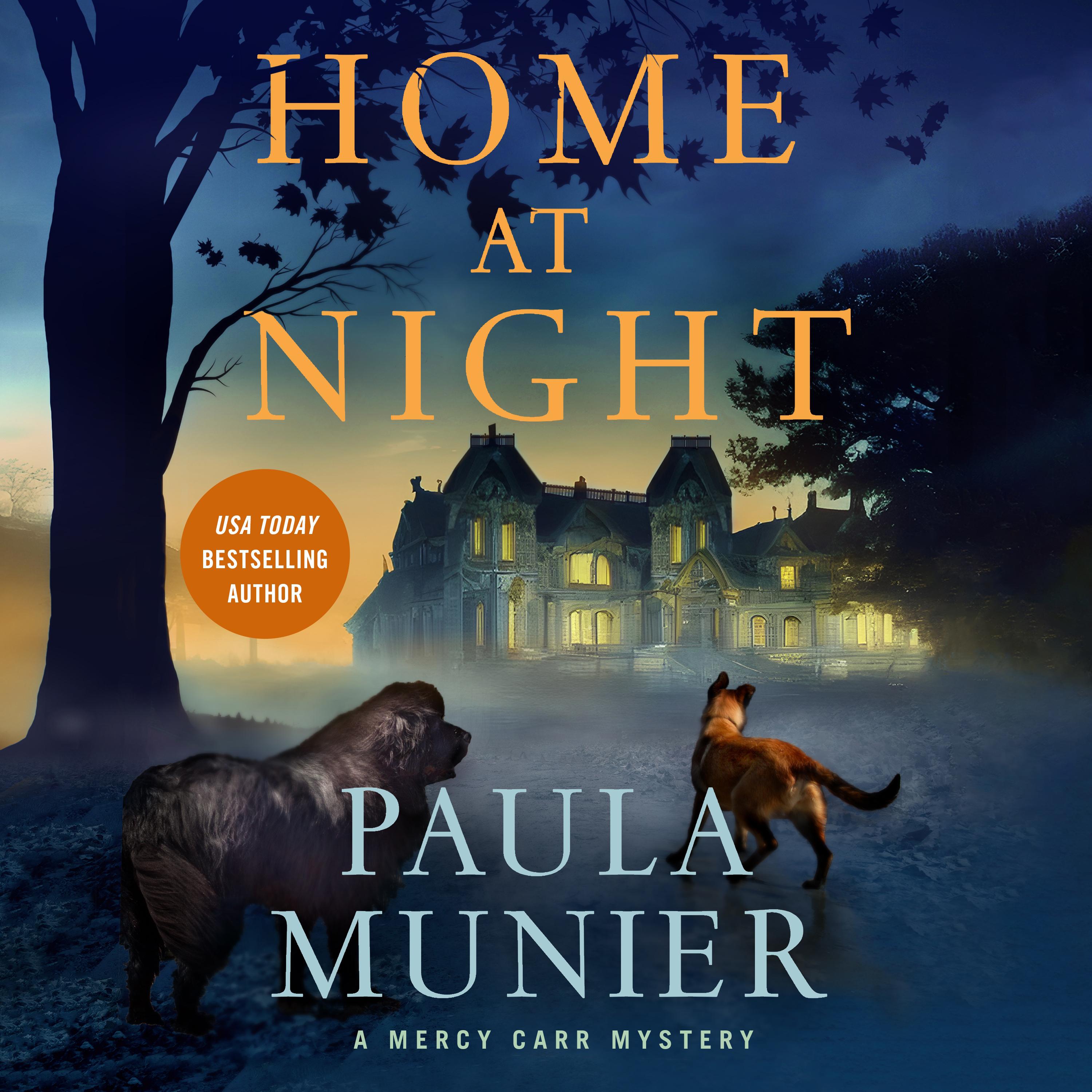 Home at Night