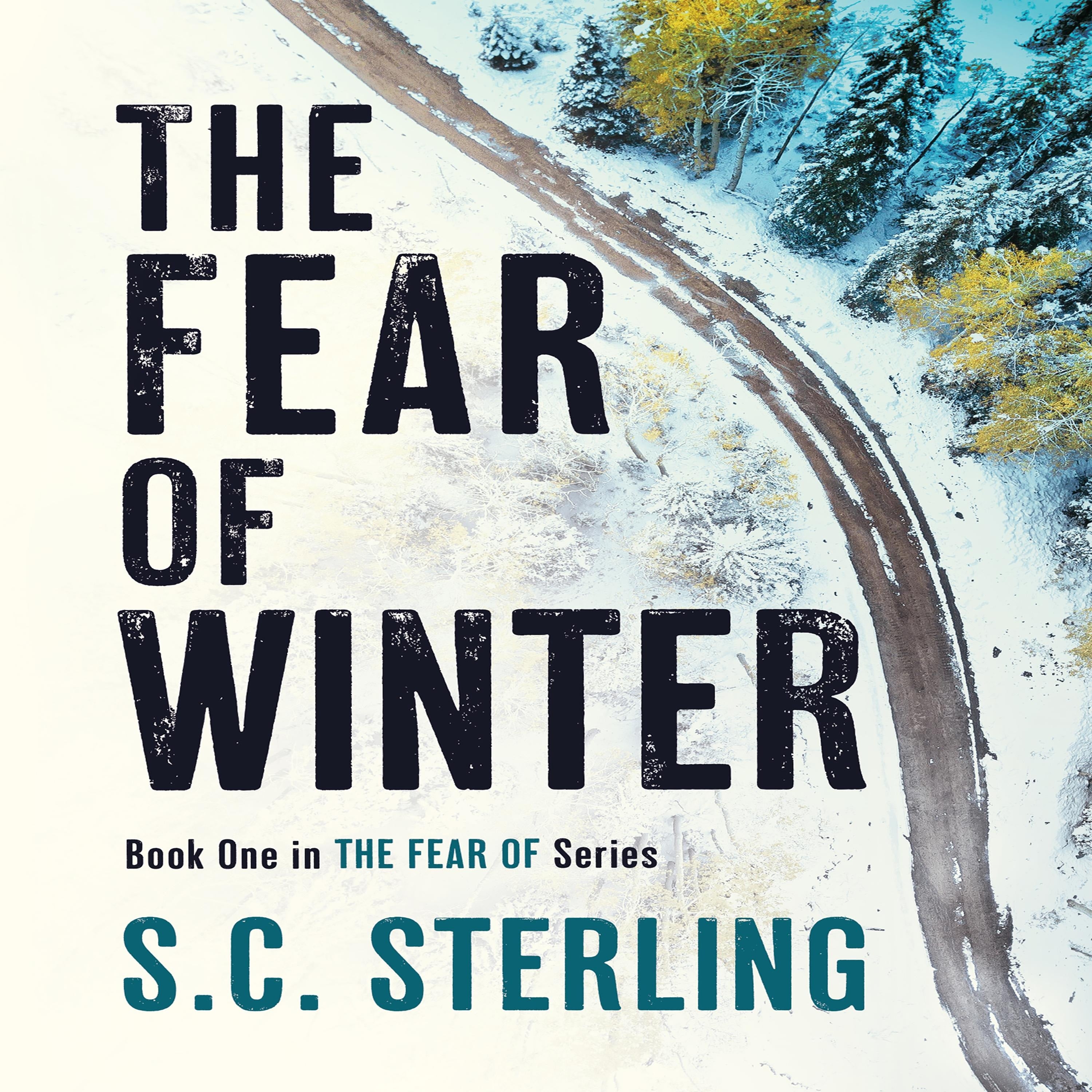 The Fear of Winter (A Kidnapping Crime Thriller)