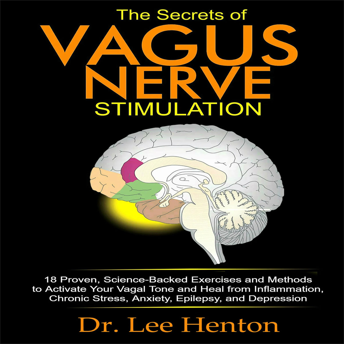 The Secrets of Vagus Nerve Stimulation