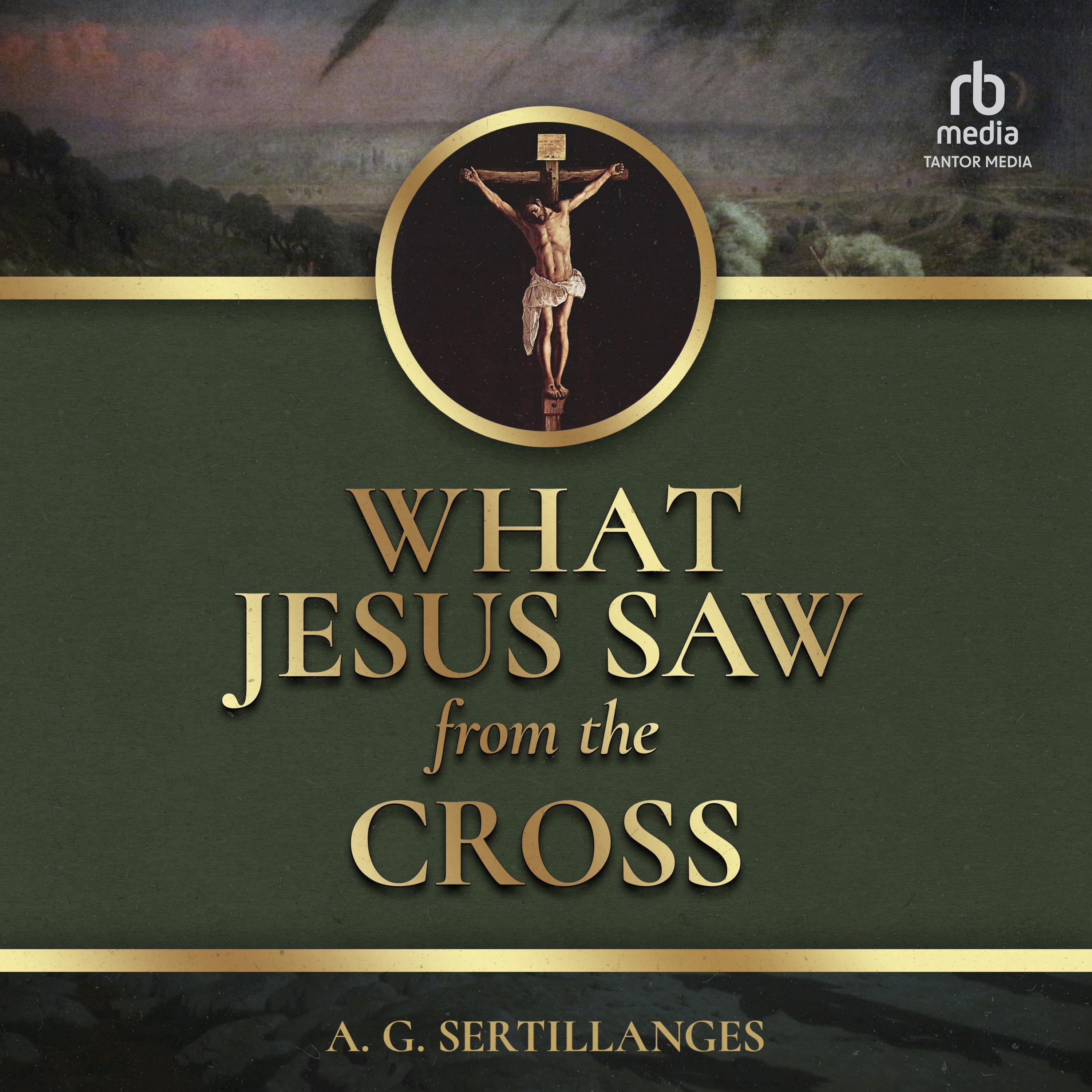 What Jesus Saw from the Cross