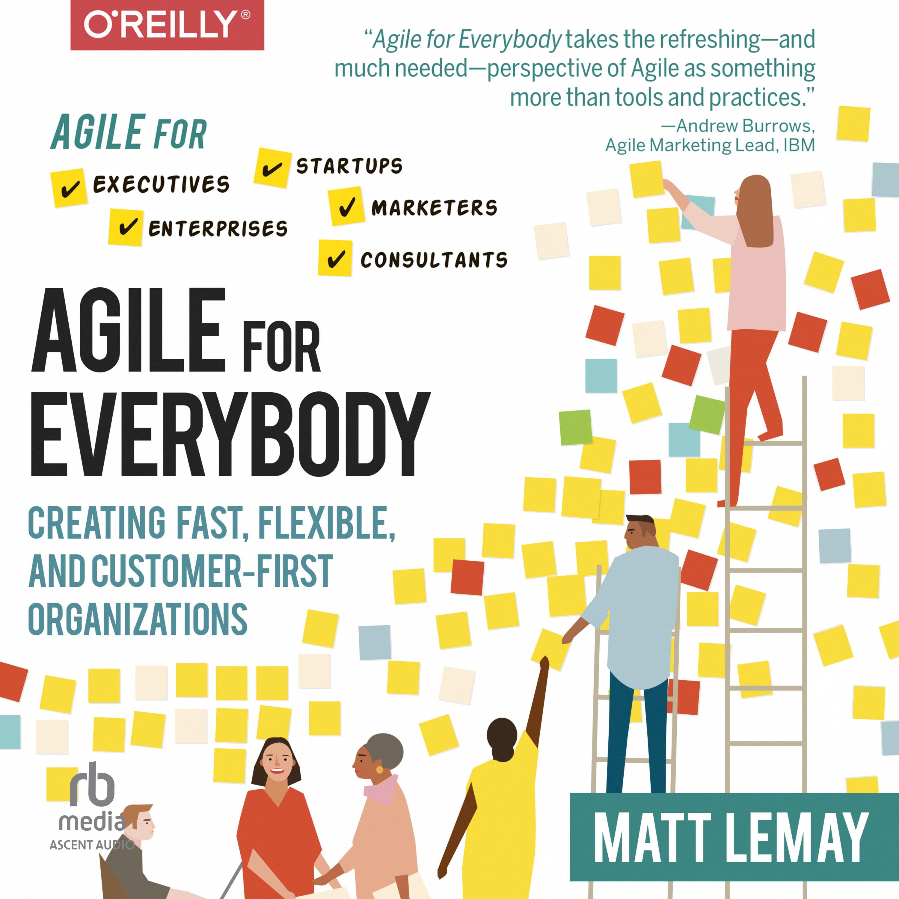 Agile for Everybody