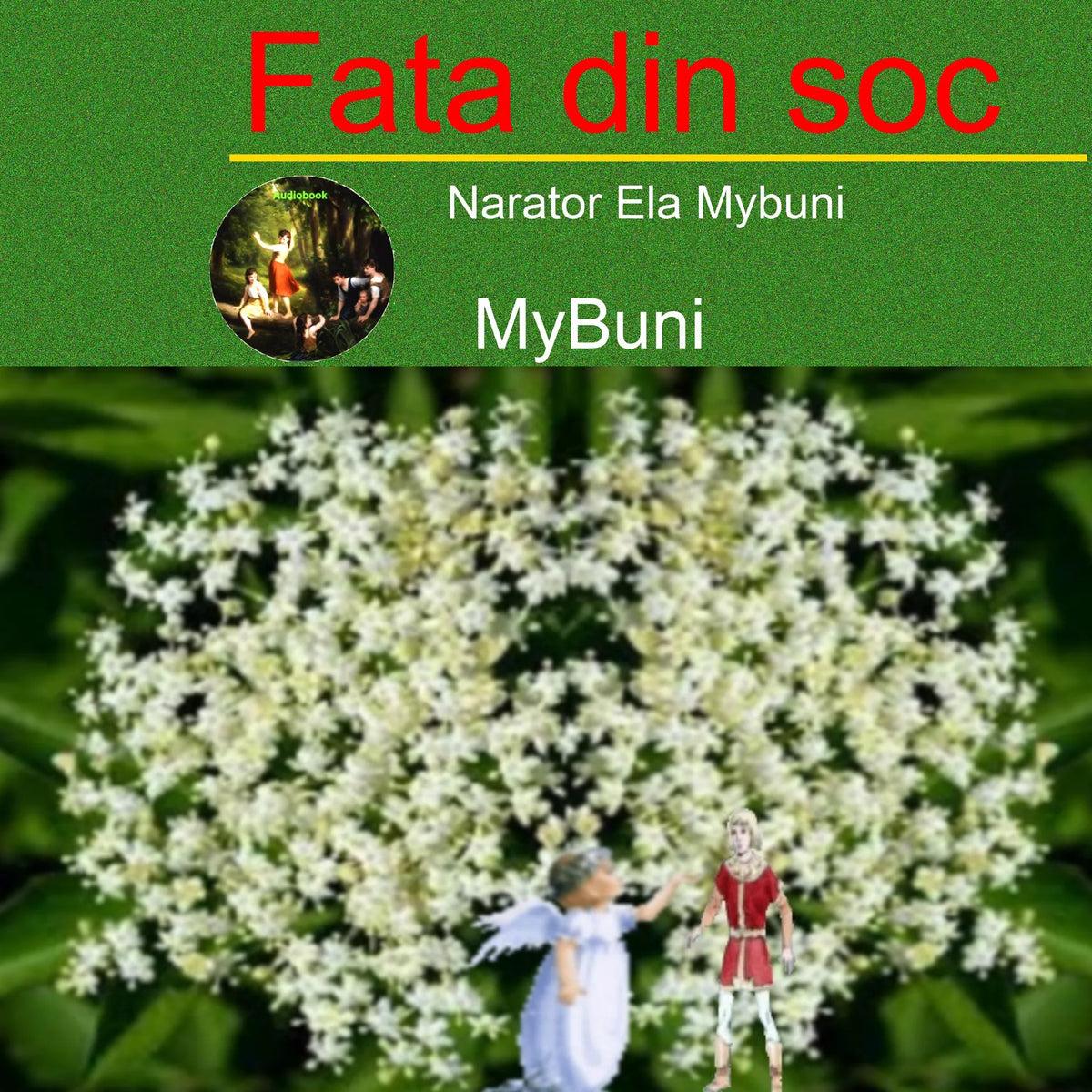Fata din soc