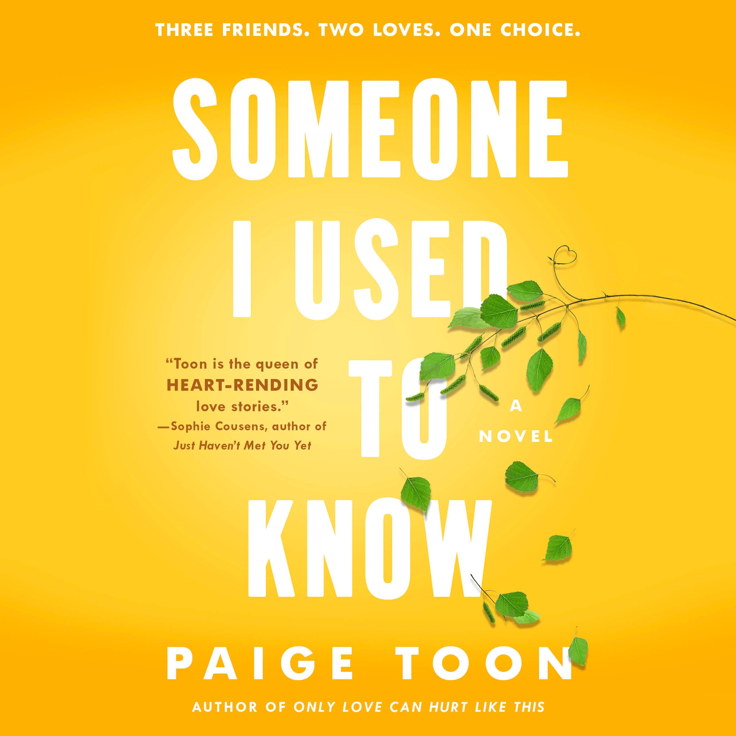 Someone I Used to Know