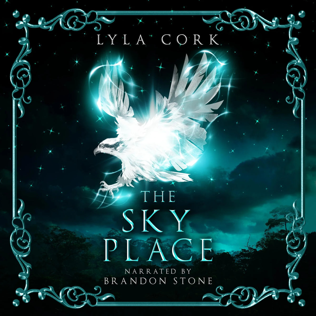 The Sky Place