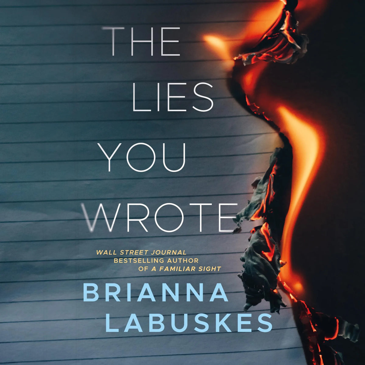 The Lies You Wrote