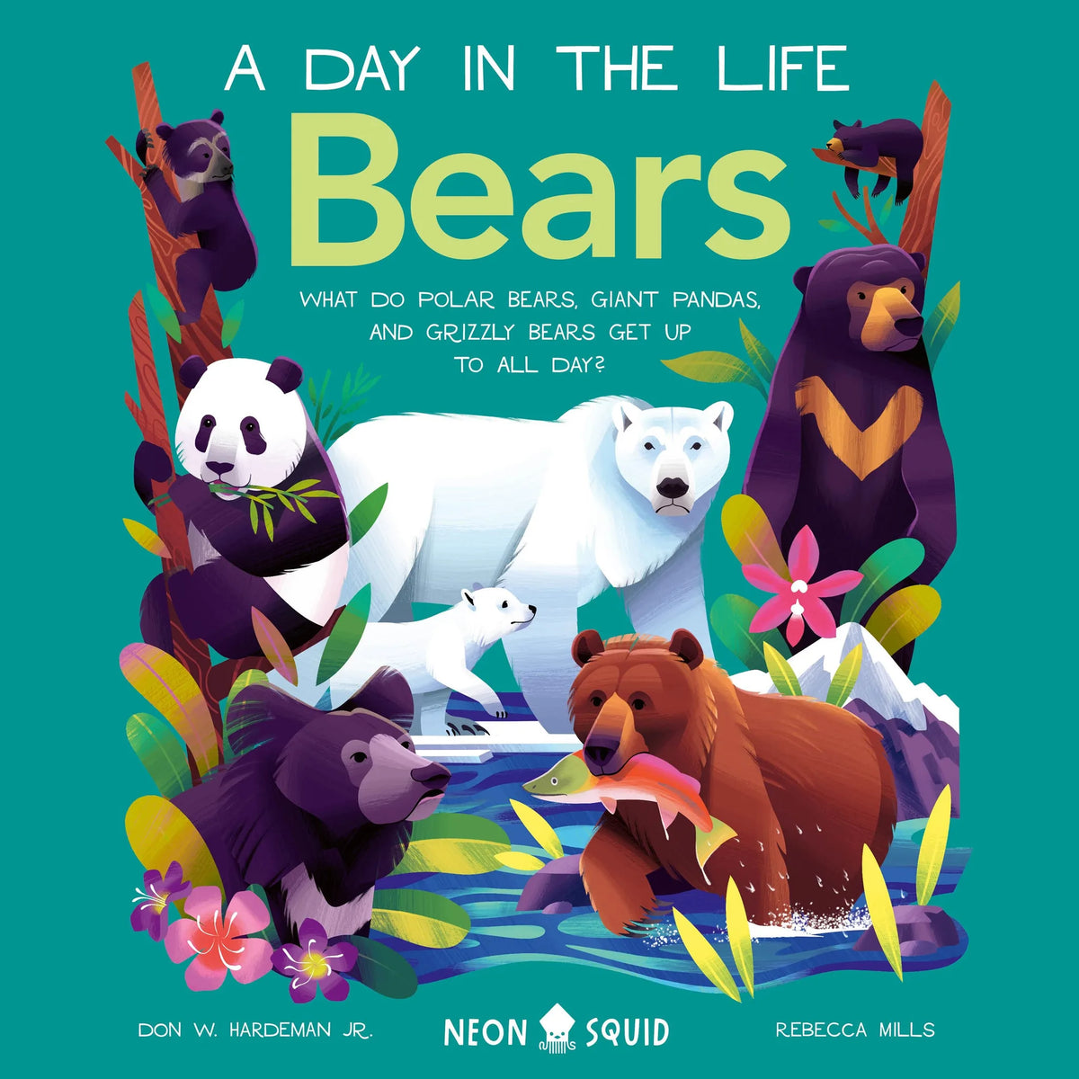 Bears (A Day in the Life)