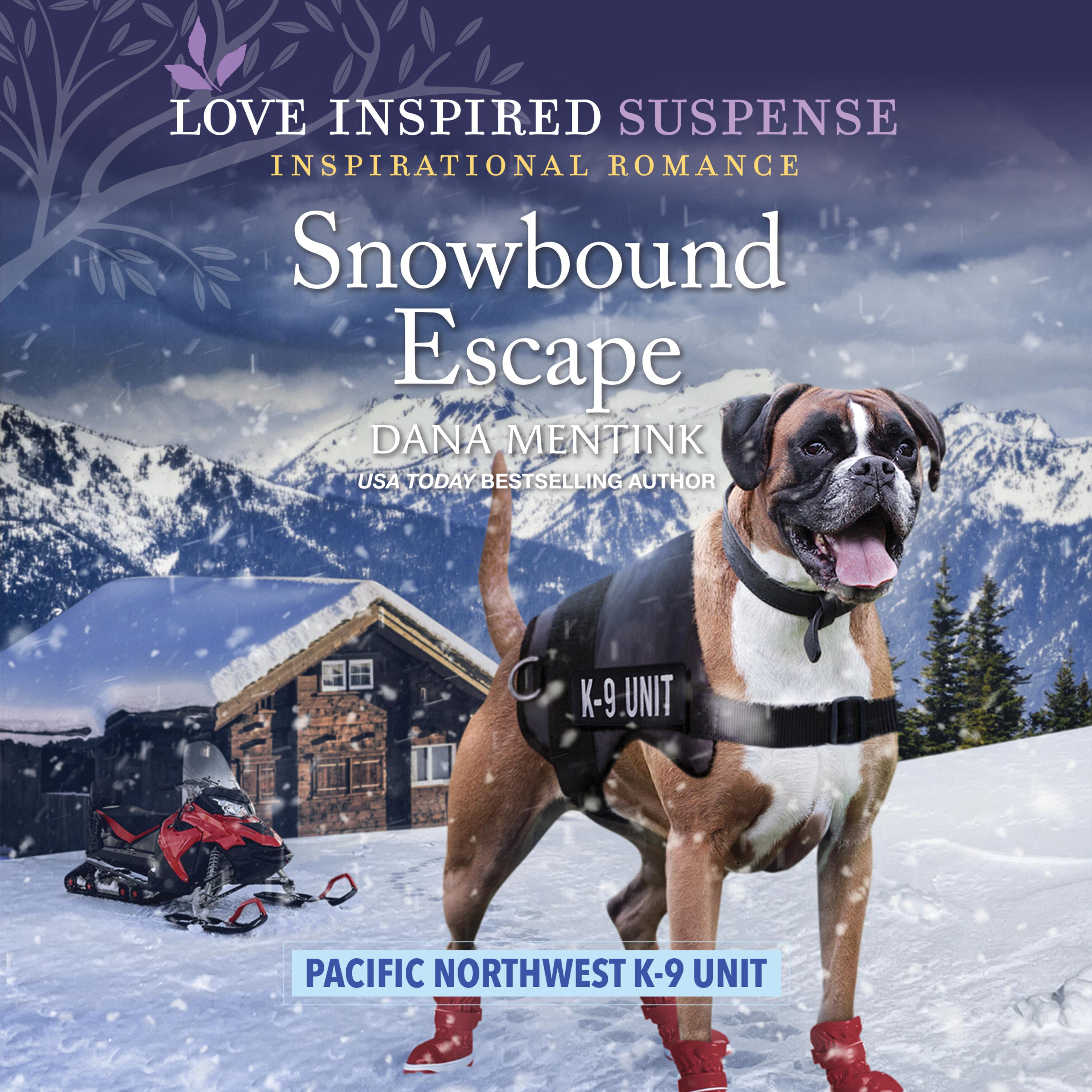 Snowbound Escape