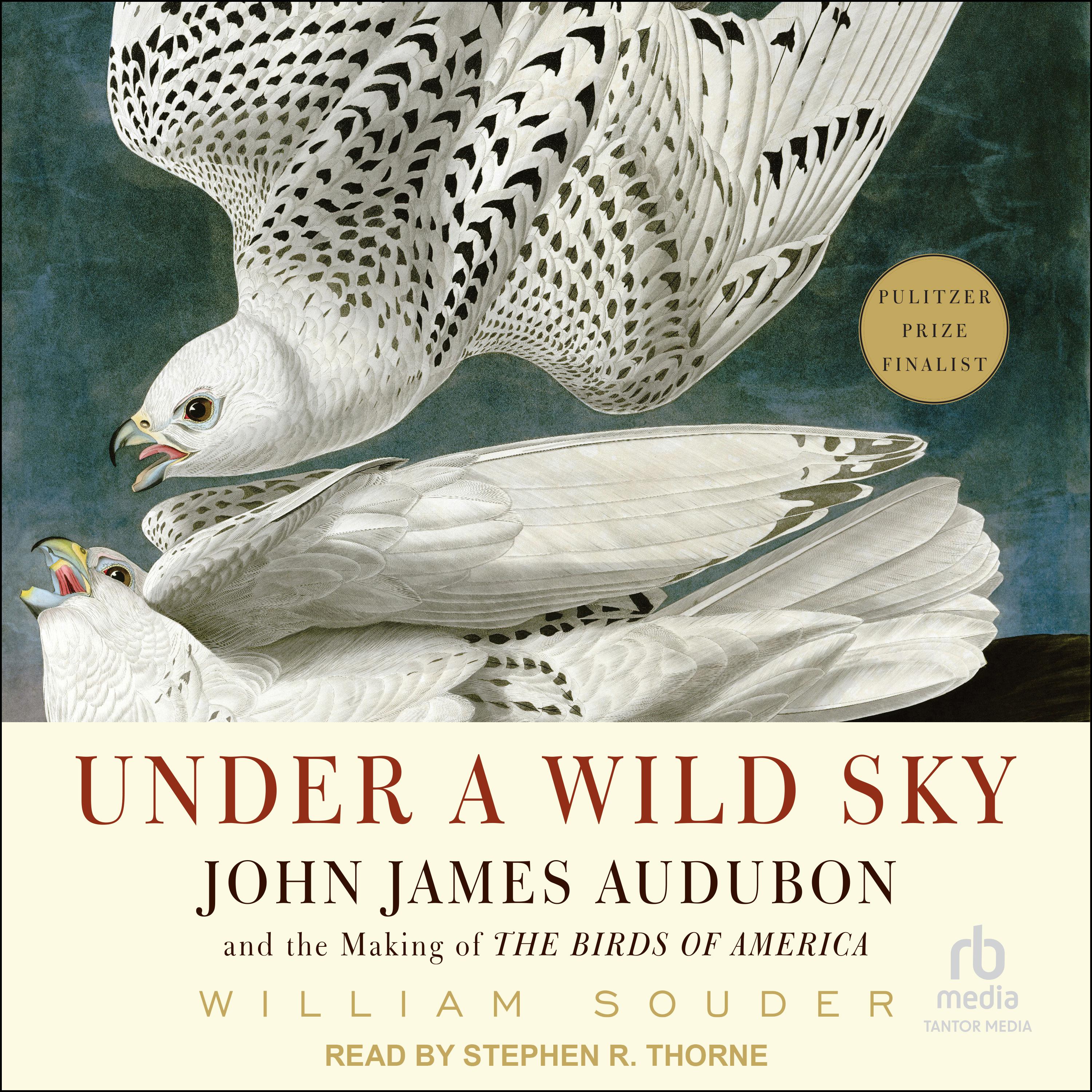 Under a Wild Sky